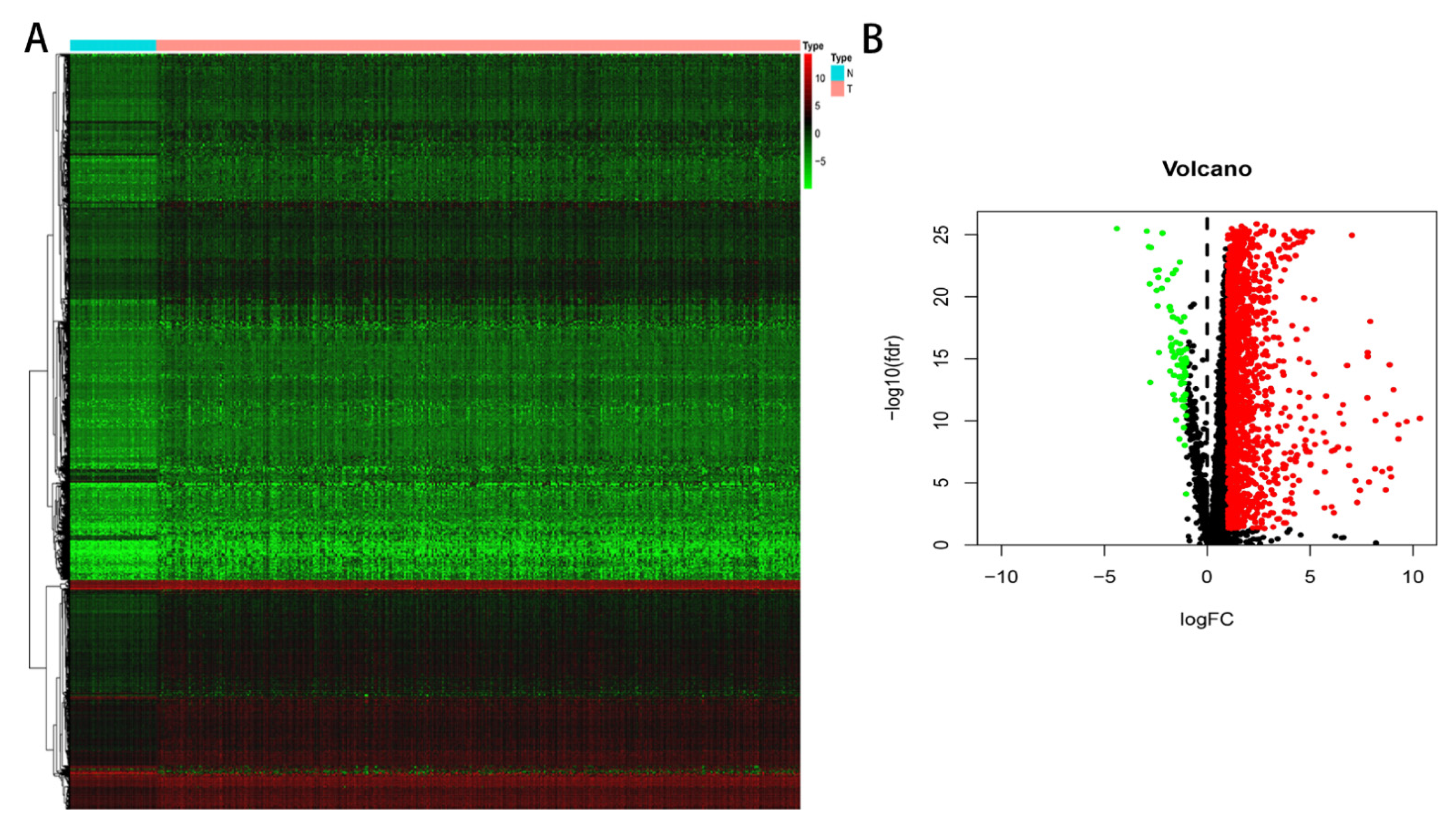 Genes 13 01834 g001 Genes 13 01834 g001