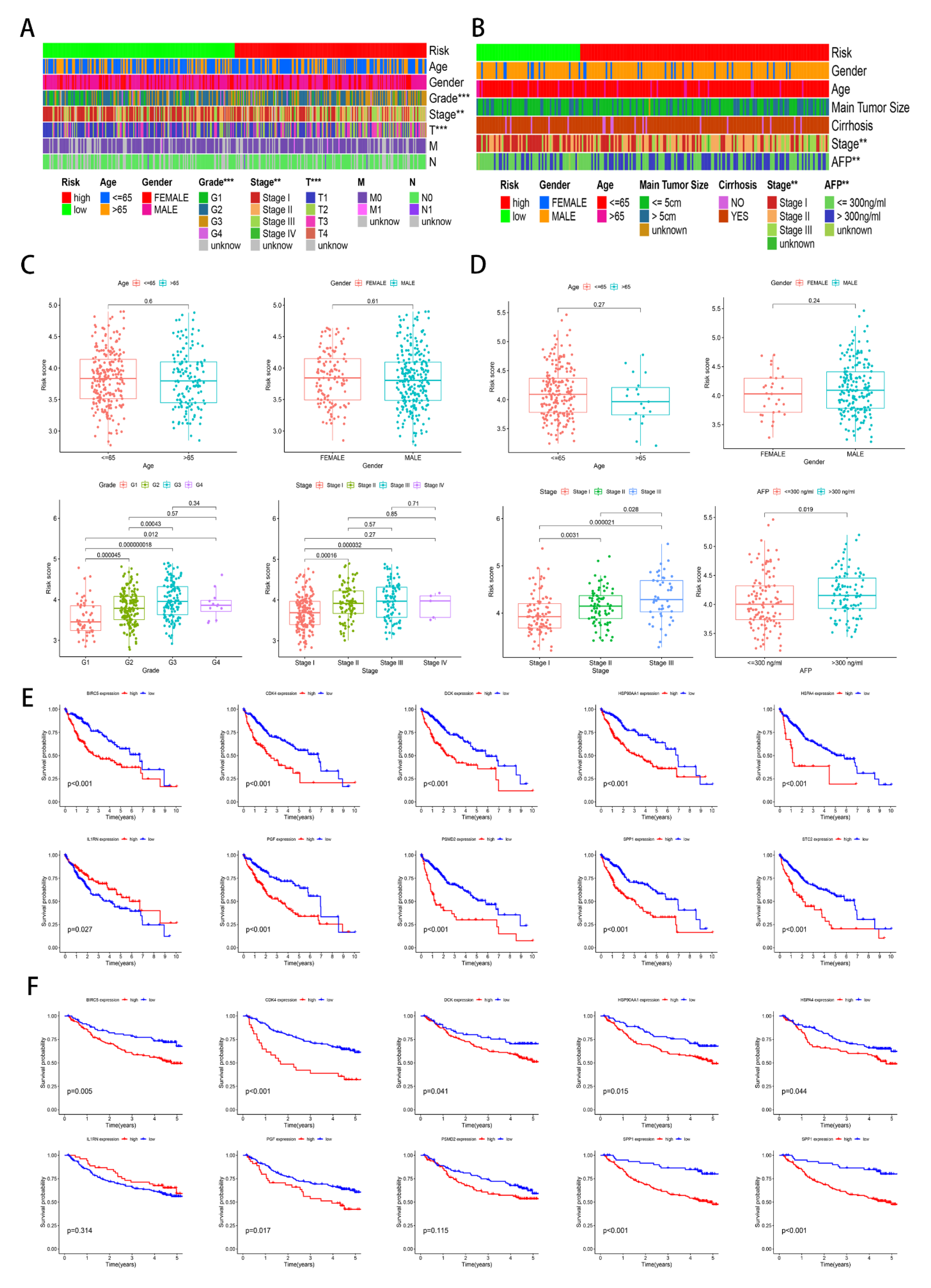 Genes 13 01834 g004 Genes 13 01834 g004