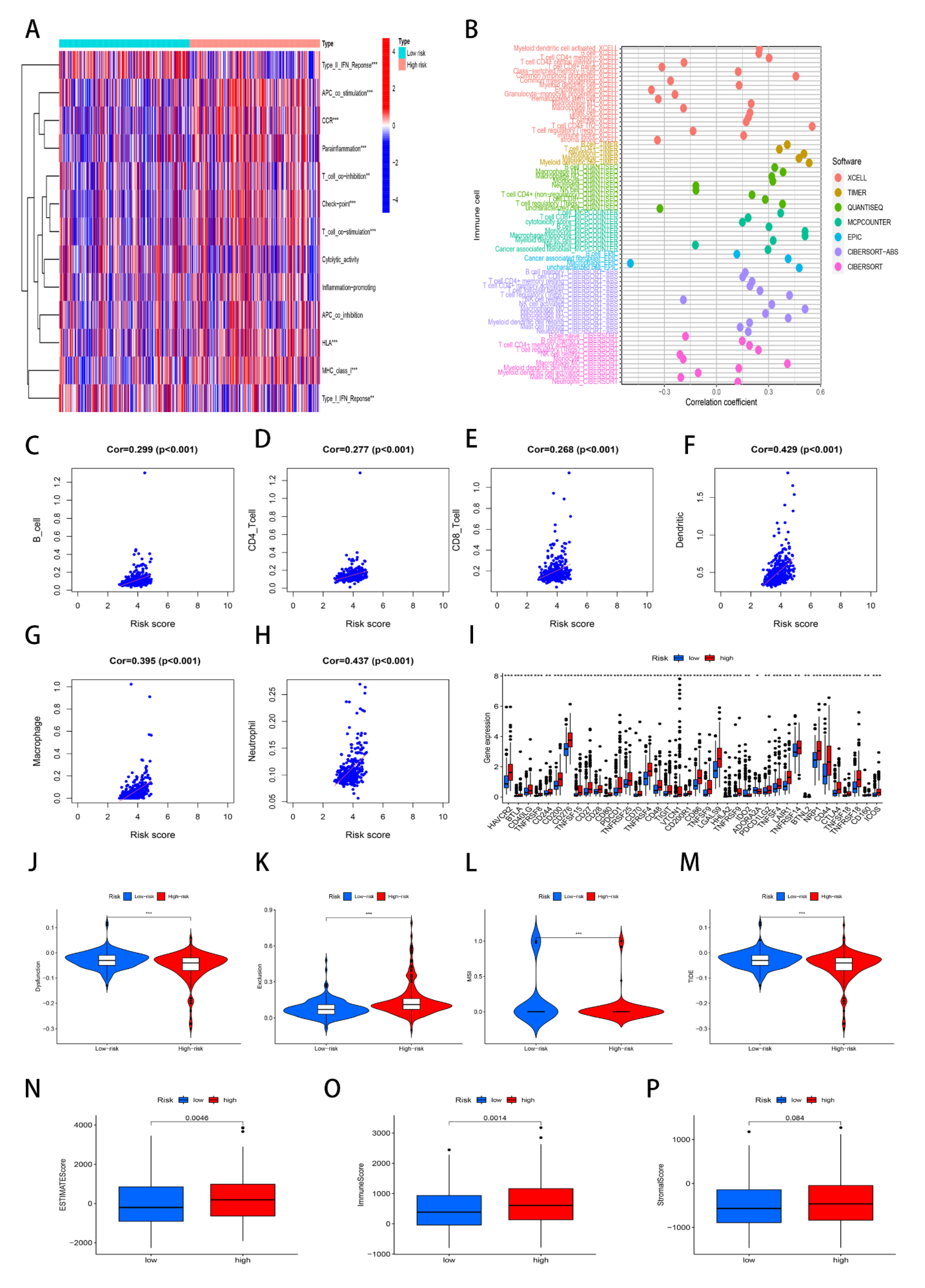 Genes 13 01834 g006 Genes 13 01834 g006
