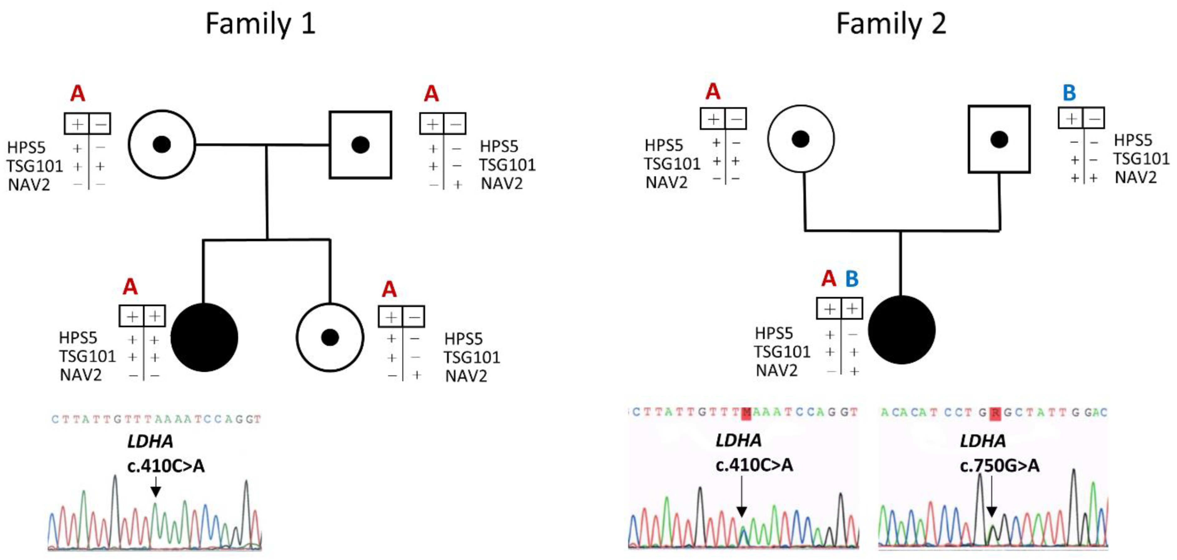 Genes 13 01835 g003