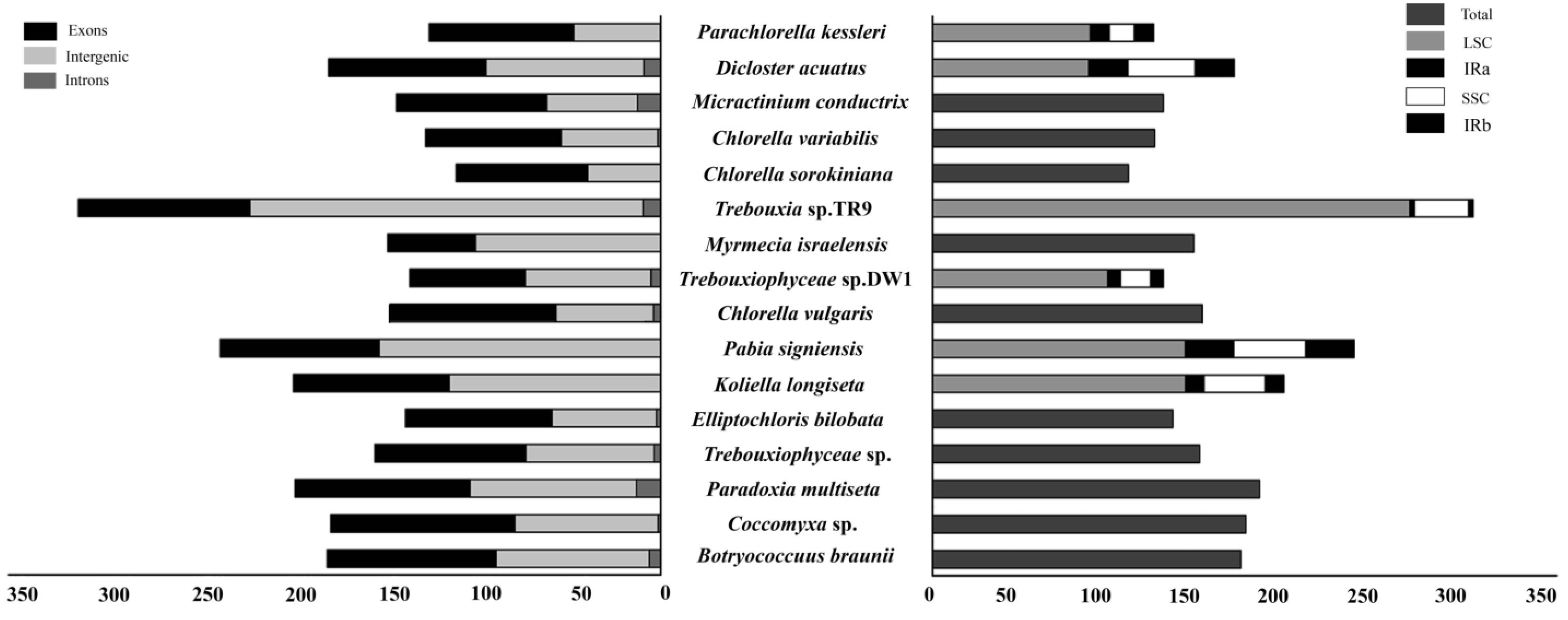 Genes 13 01840 g006 Genes 13 01840 g006