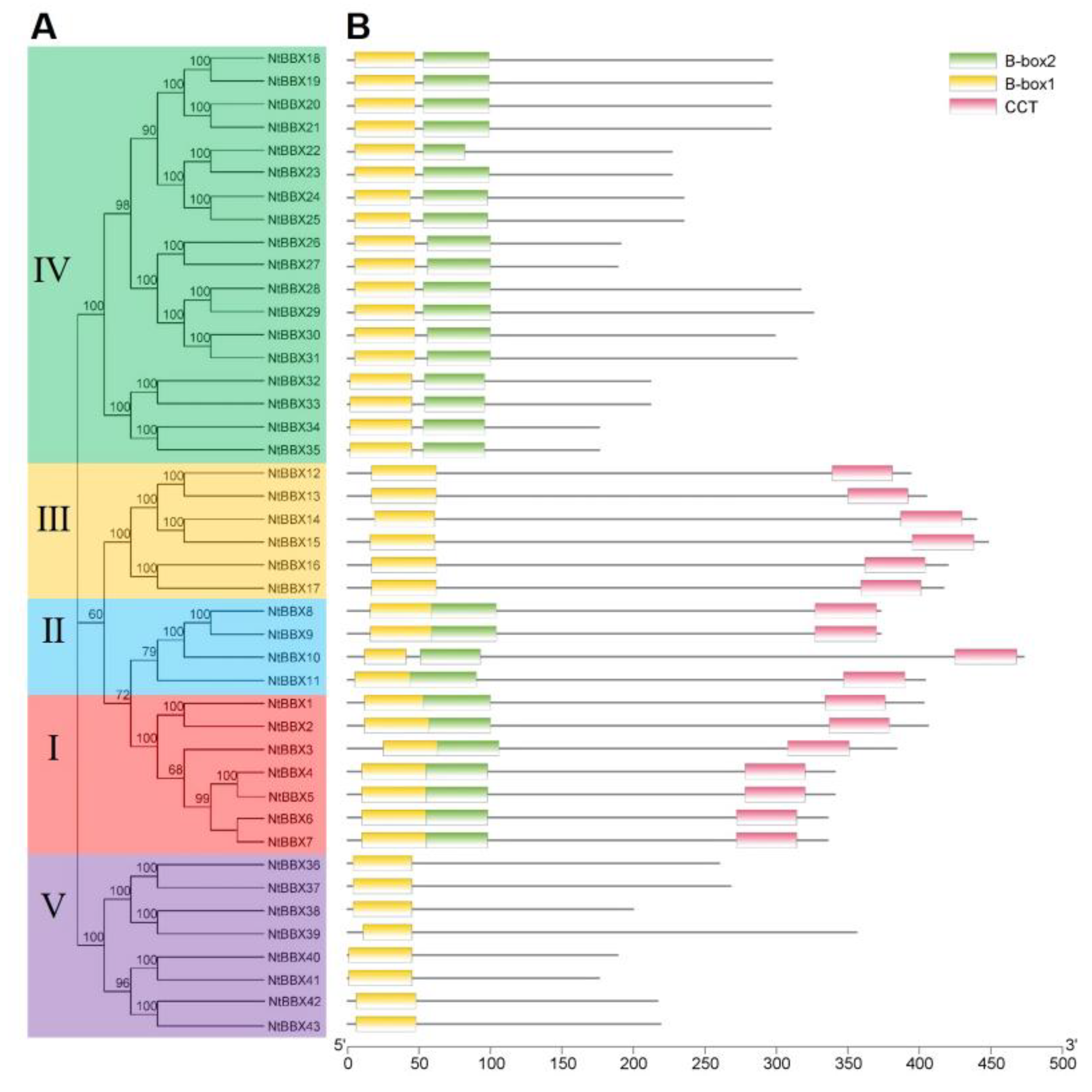 Genes 13 01841 g002