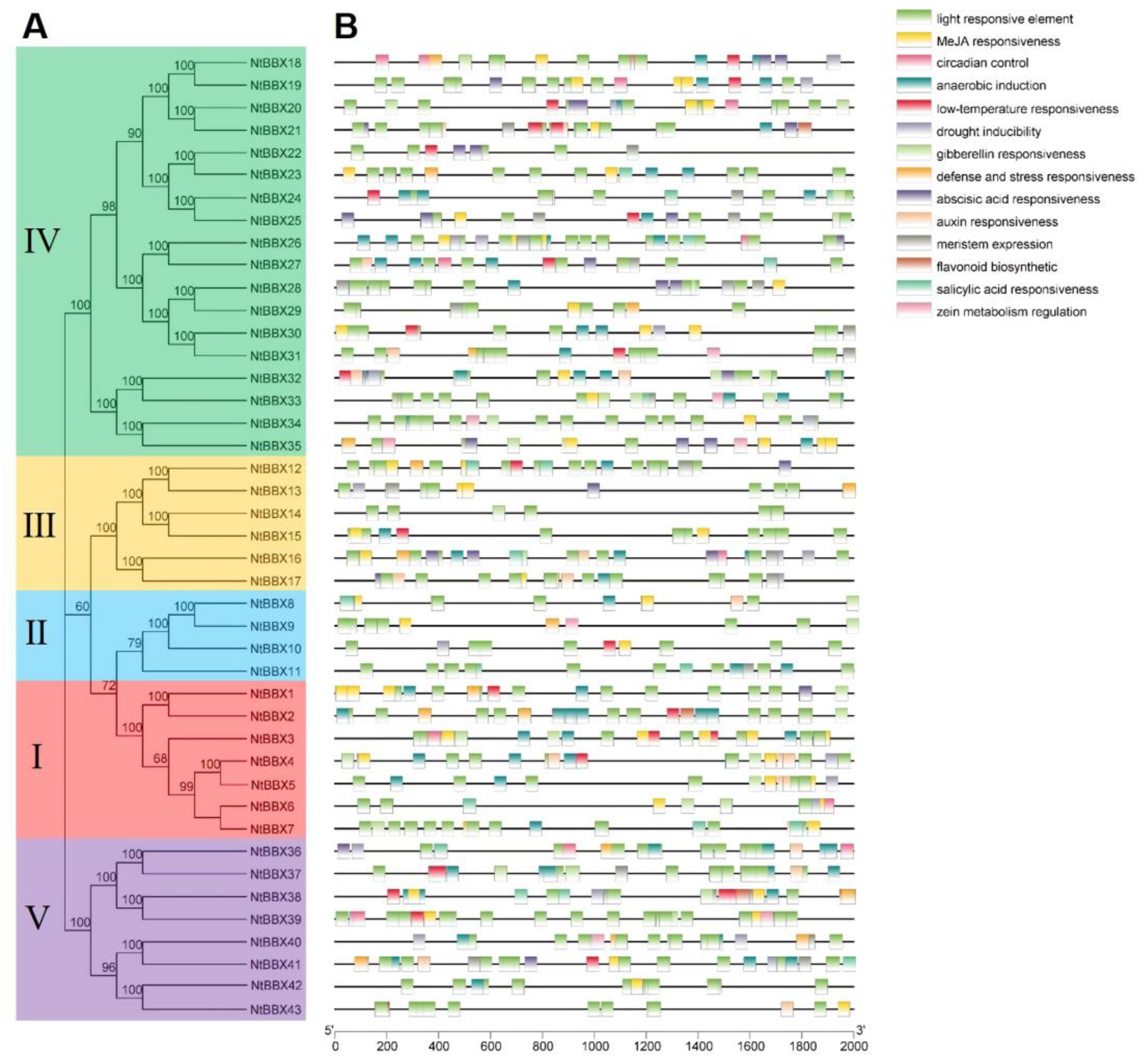 Genes 13 01841 g005