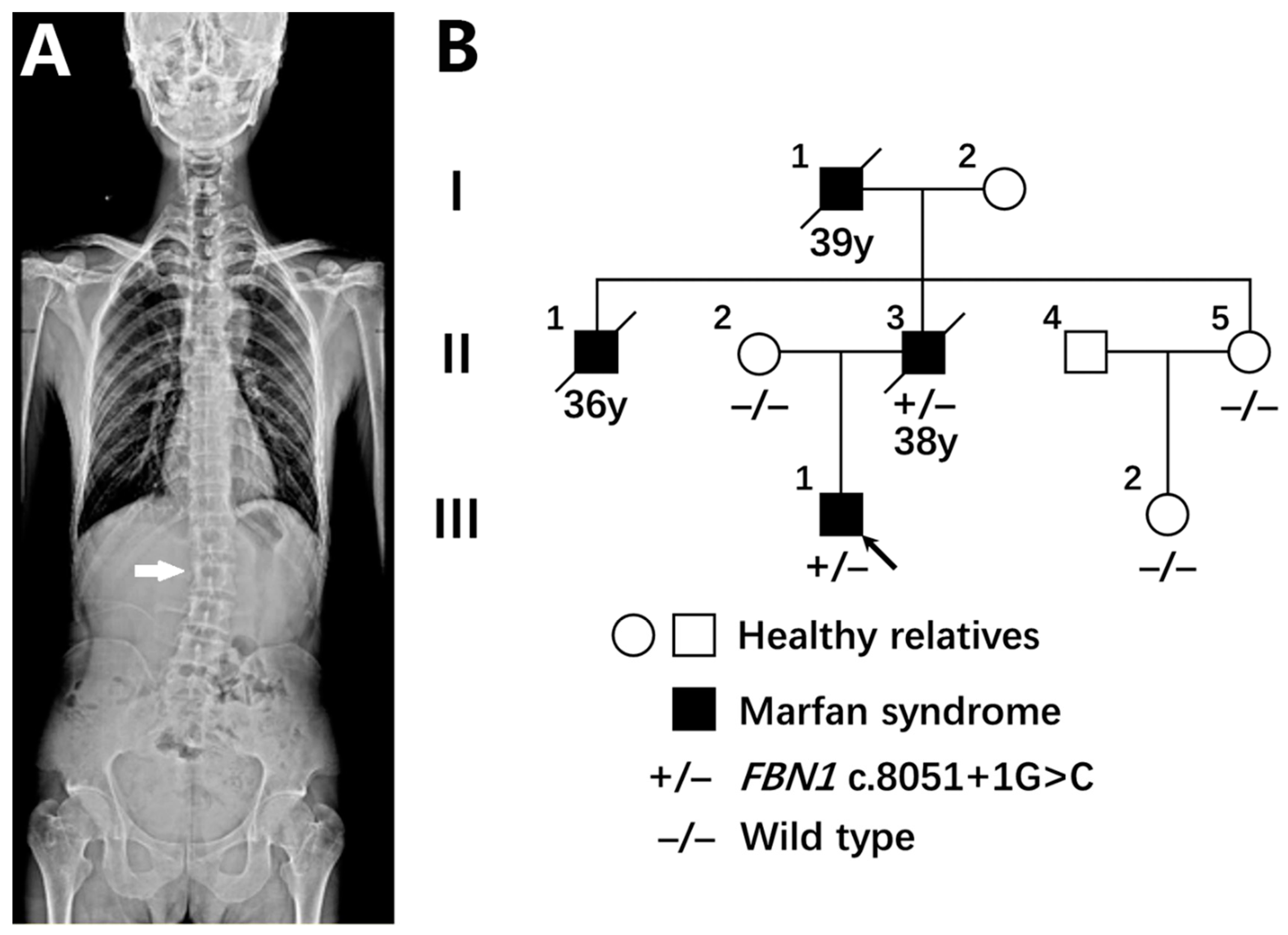 Genes 13 01842 g001