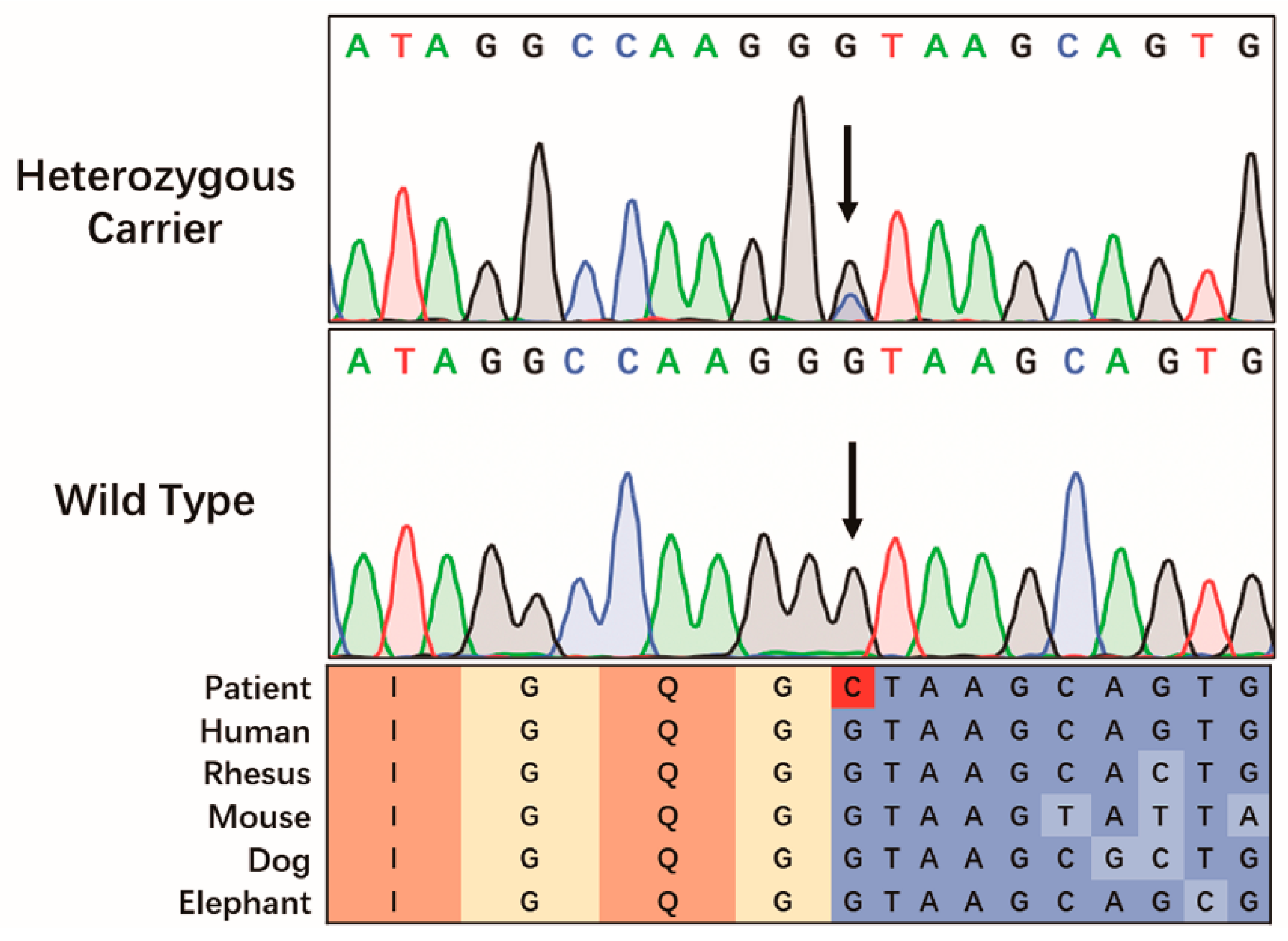 Genes 13 01842 g002