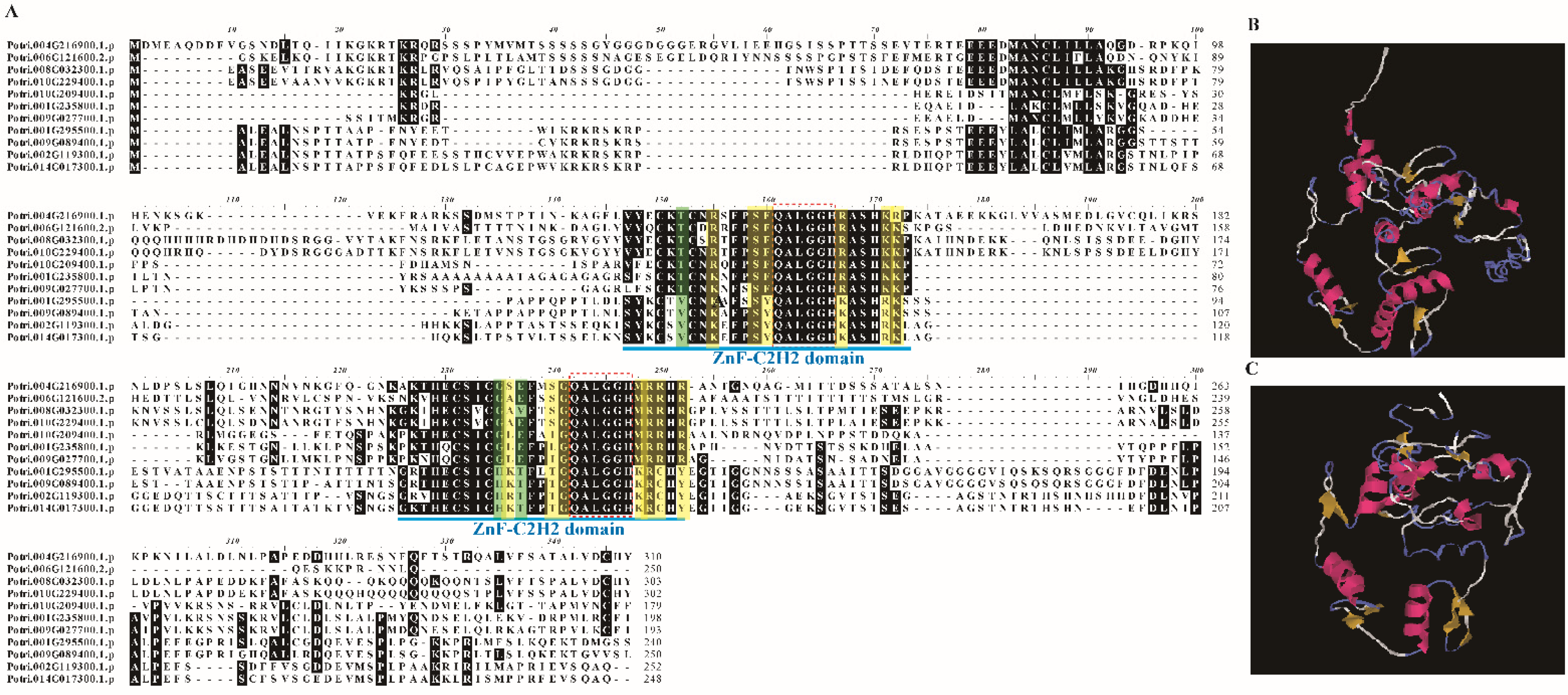 Genes 13 01843 g001 Genes 13 01843 g001