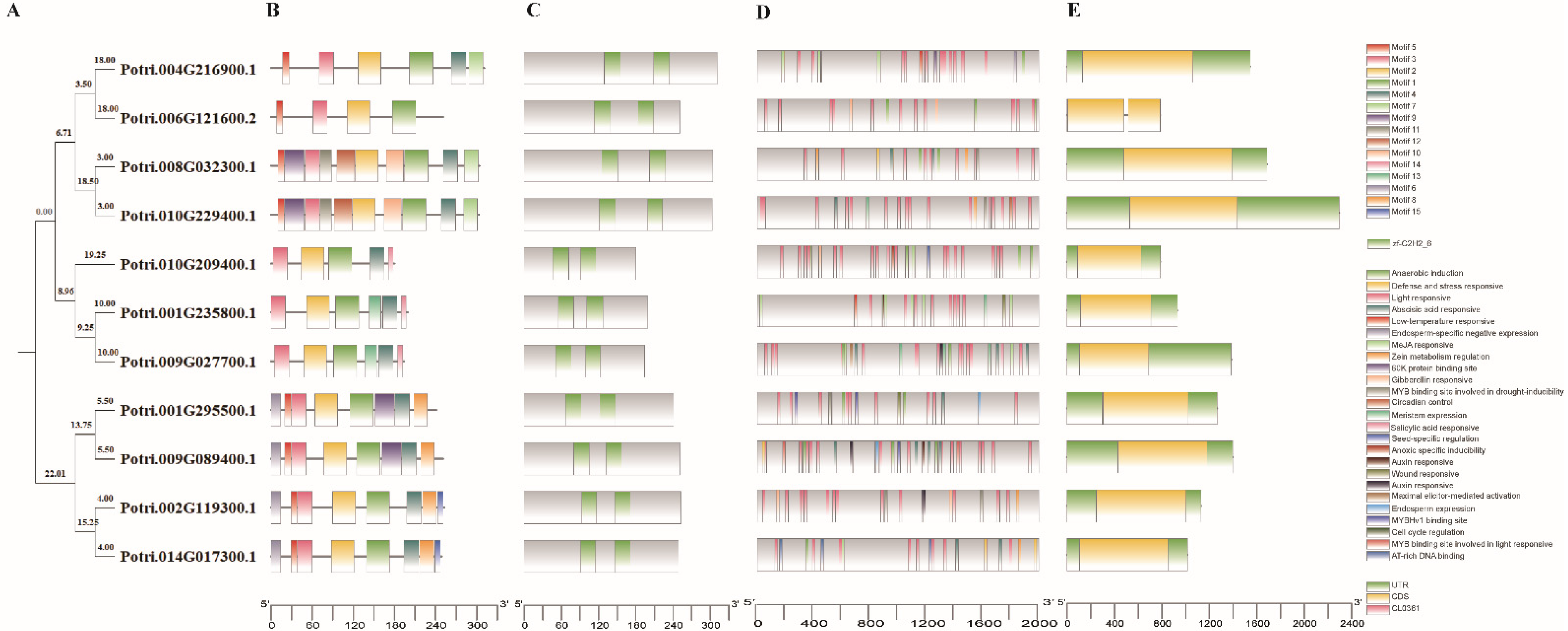 Genes 13 01843 g002 Genes 13 01843 g002