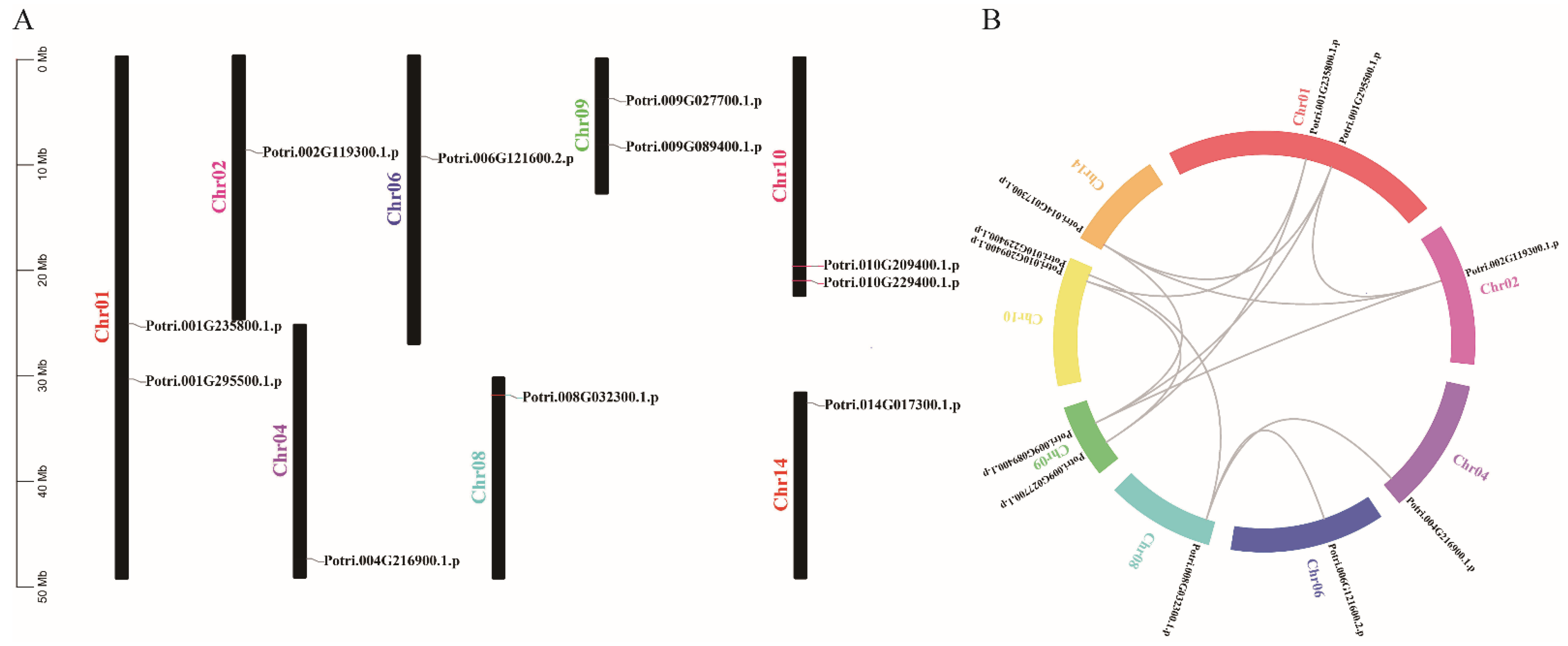 Genes 13 01843 g003 Genes 13 01843 g003