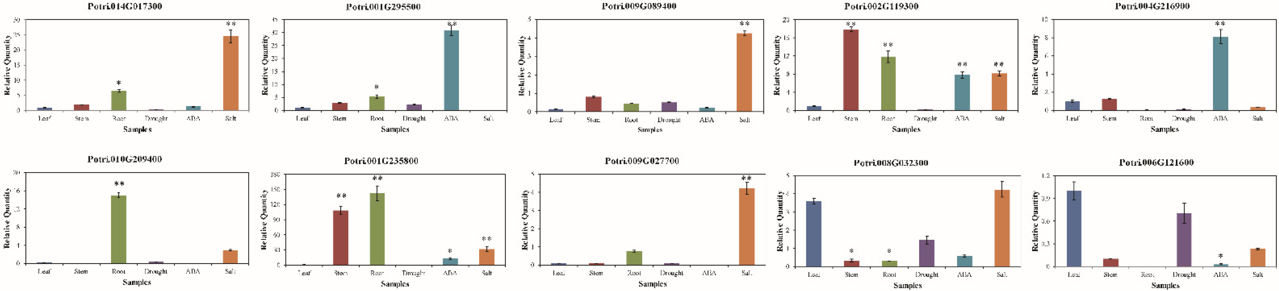Genes 13 01843 g004 Genes 13 01843 g004