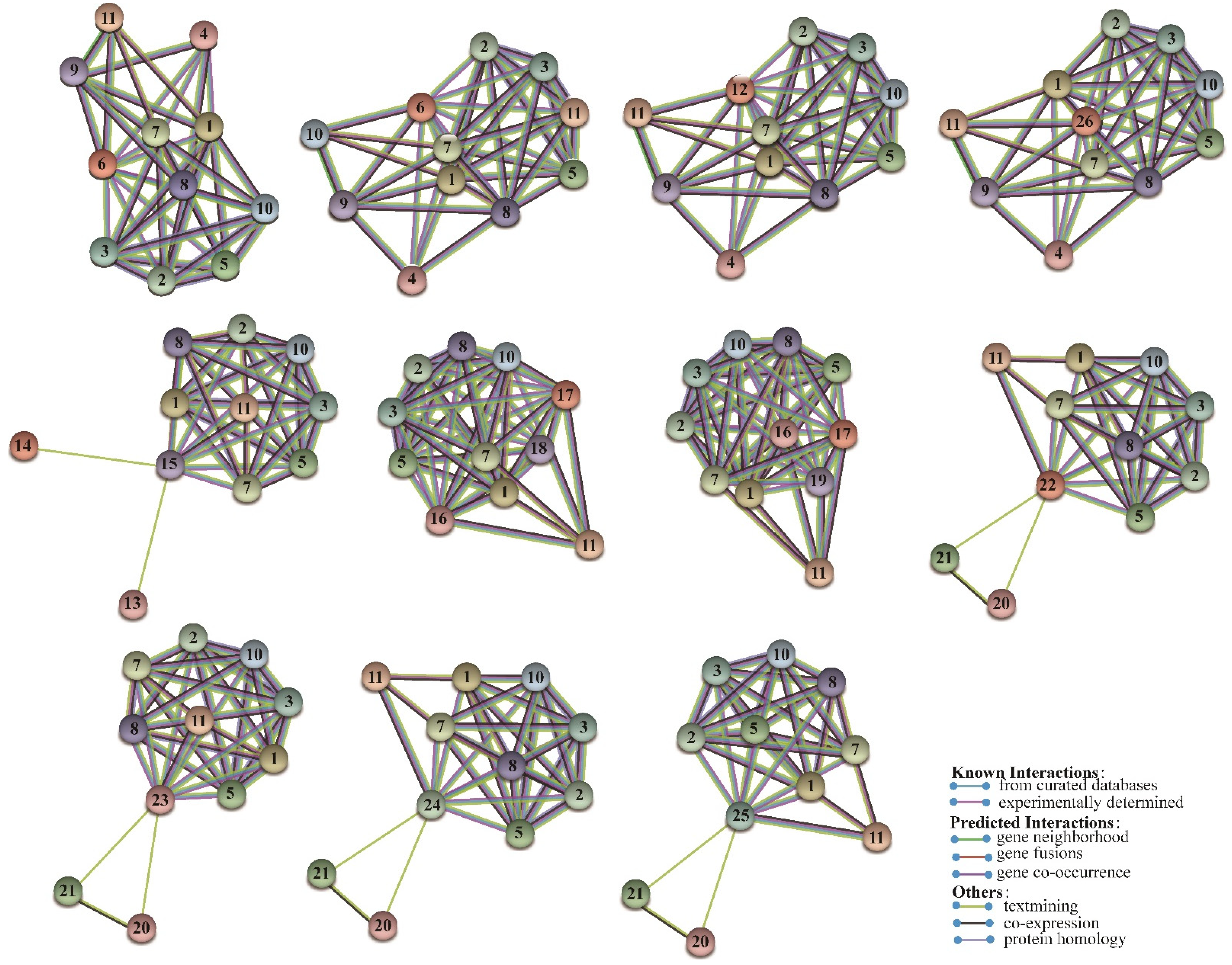 Genes 13 01843 g005 Genes 13 01843 g005