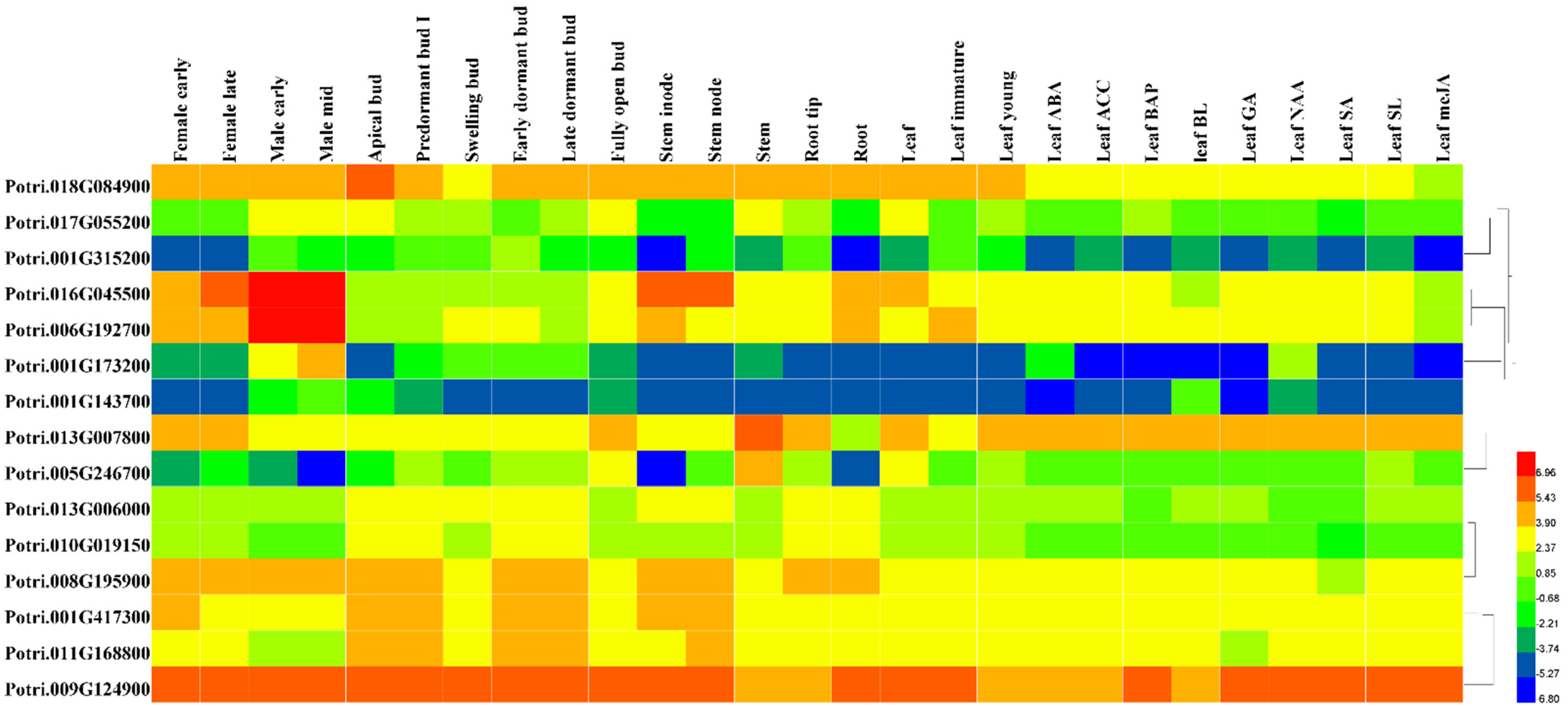 Genes 13 01843 g006 Genes 13 01843 g006