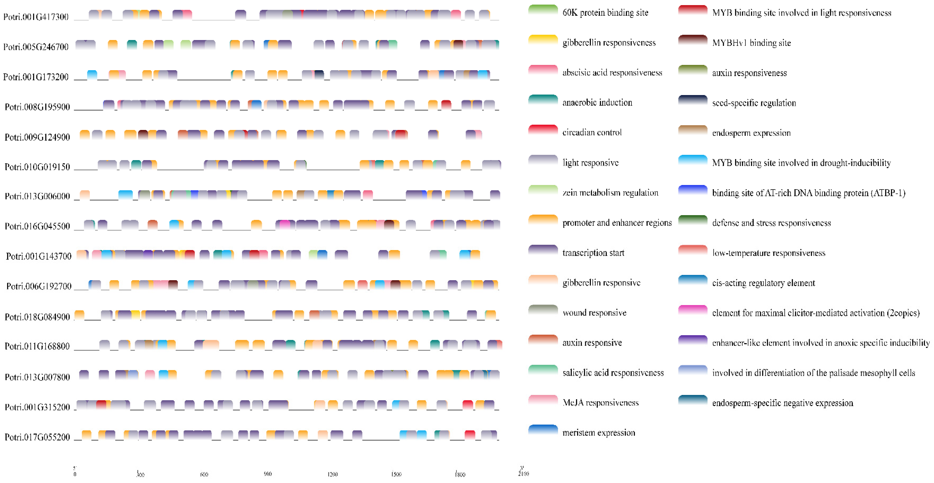 Genes 13 01843 g007 Genes 13 01843 g007