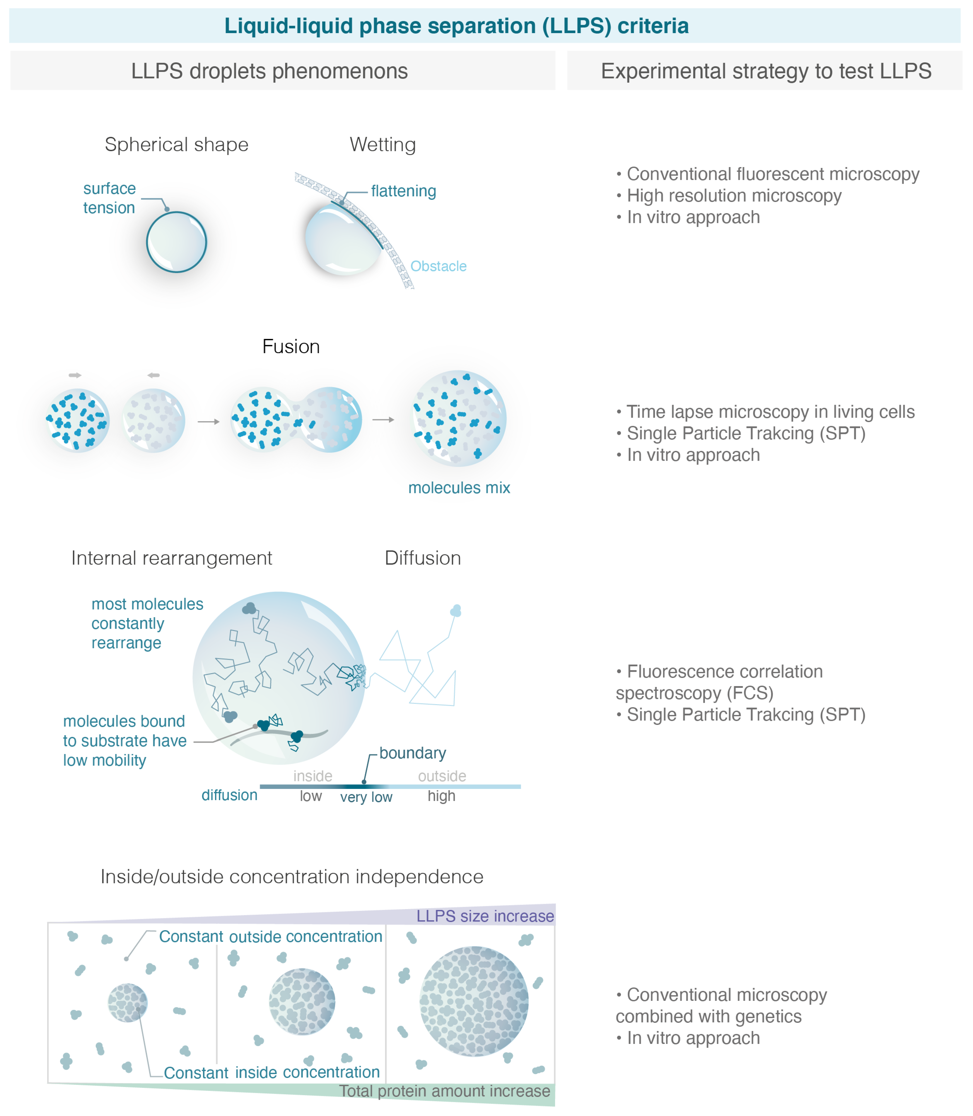 Genes 13 01846 g002 Genes 13 01846 g002