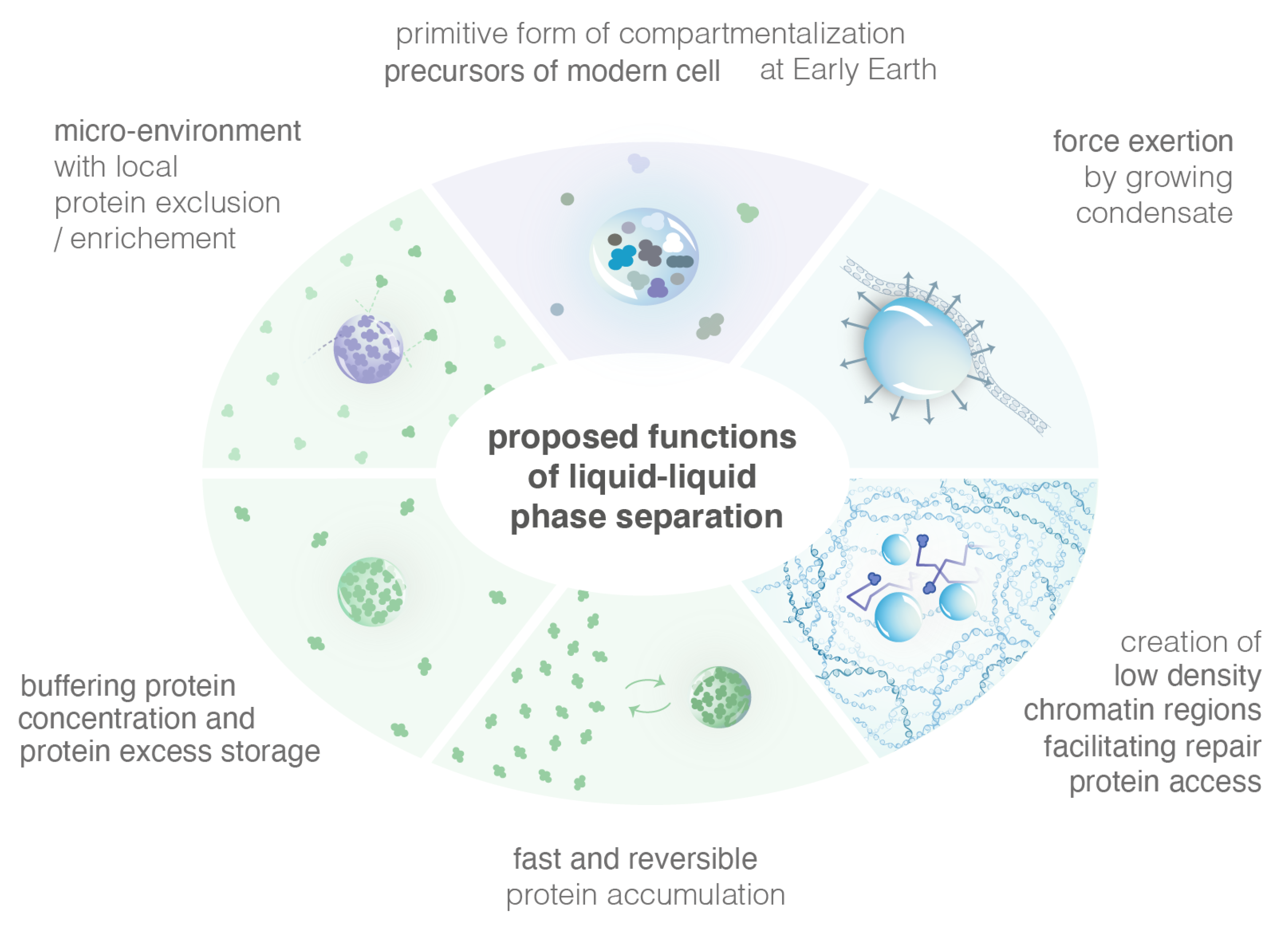 Genes 13 01846 g004 Genes 13 01846 g004