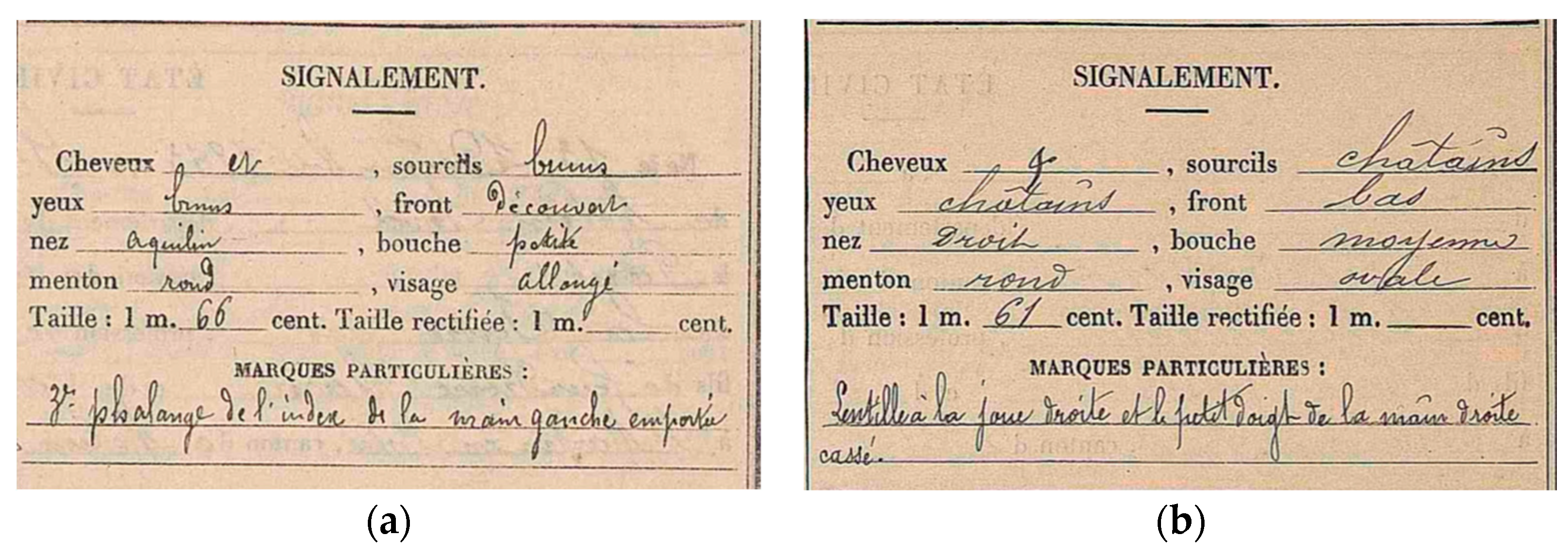 Genes 13 01852 g002a