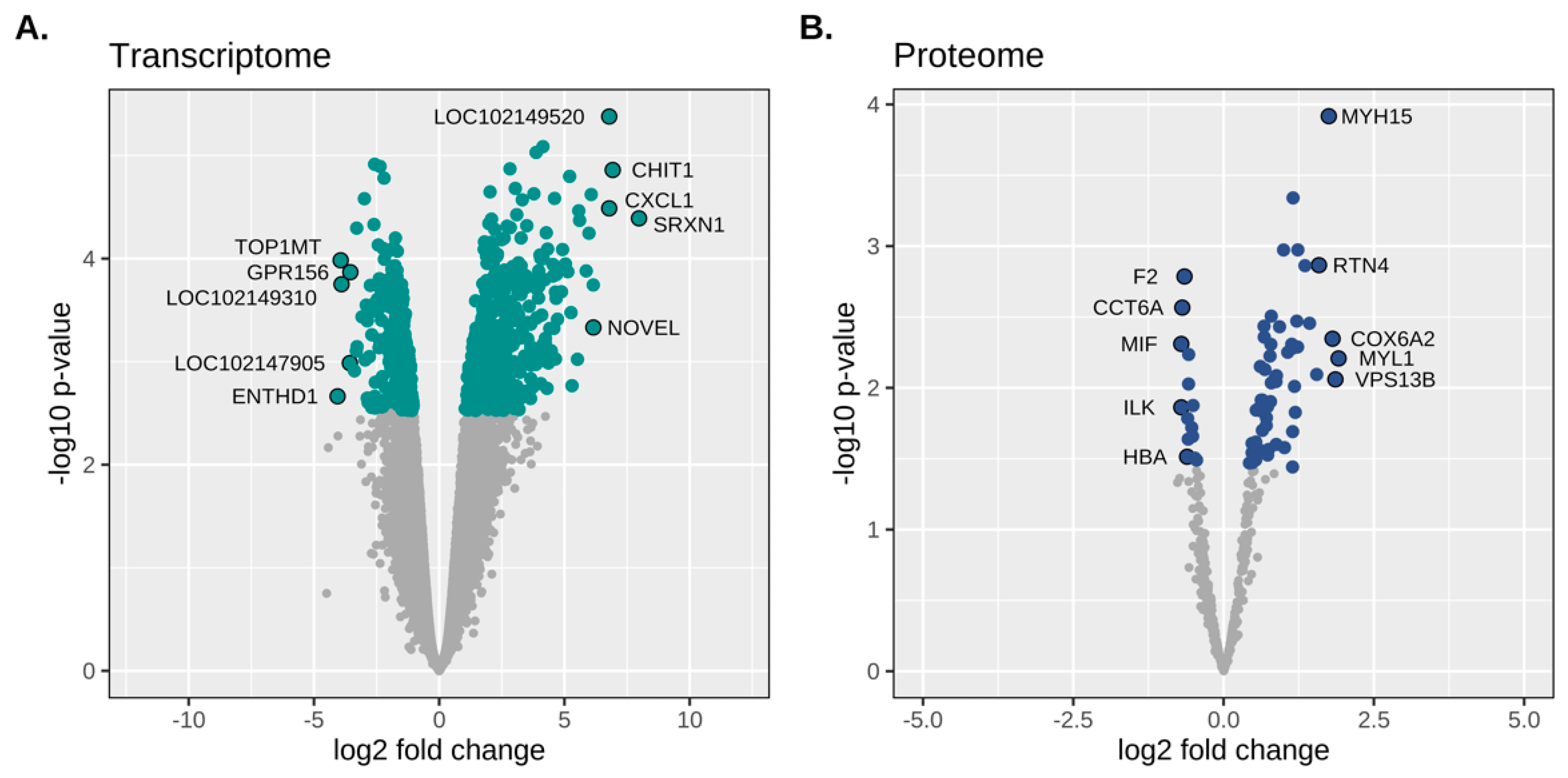 Genes 13 01853 g002 Genes 13 01853 g002