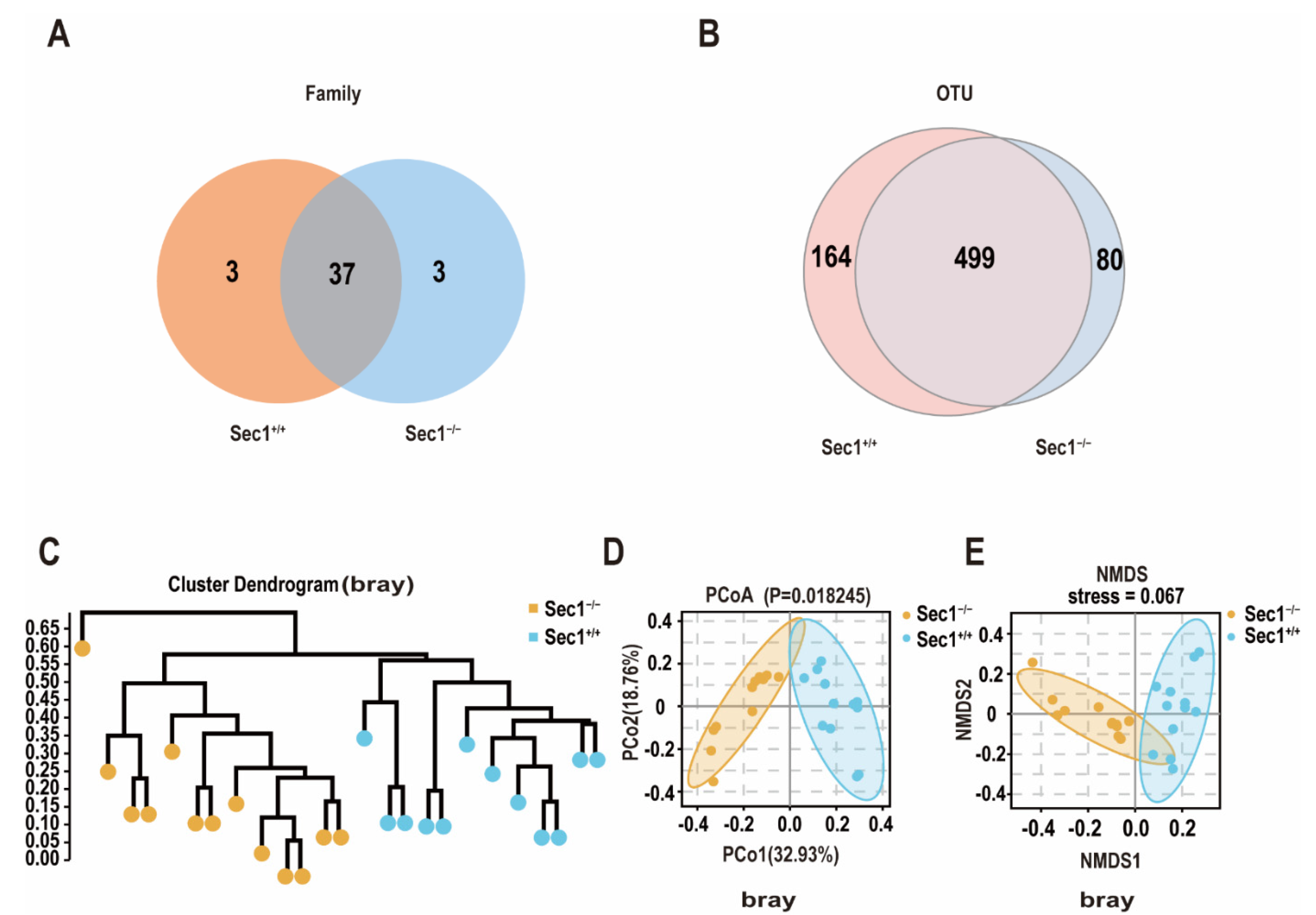 Genes 13 01858 g003 Genes 13 01858 g003