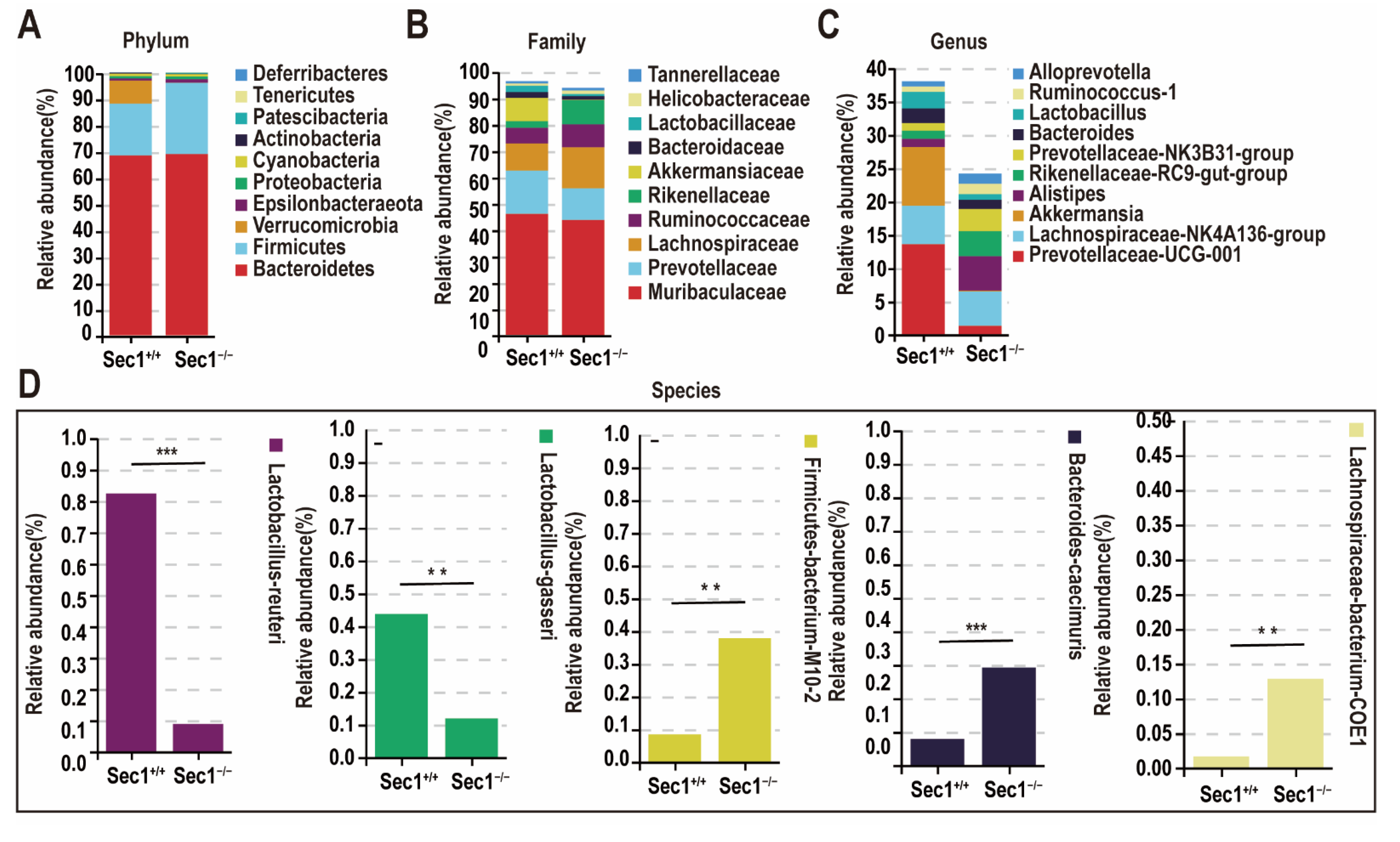 Genes 13 01858 g004a Genes 13 01858 g004a