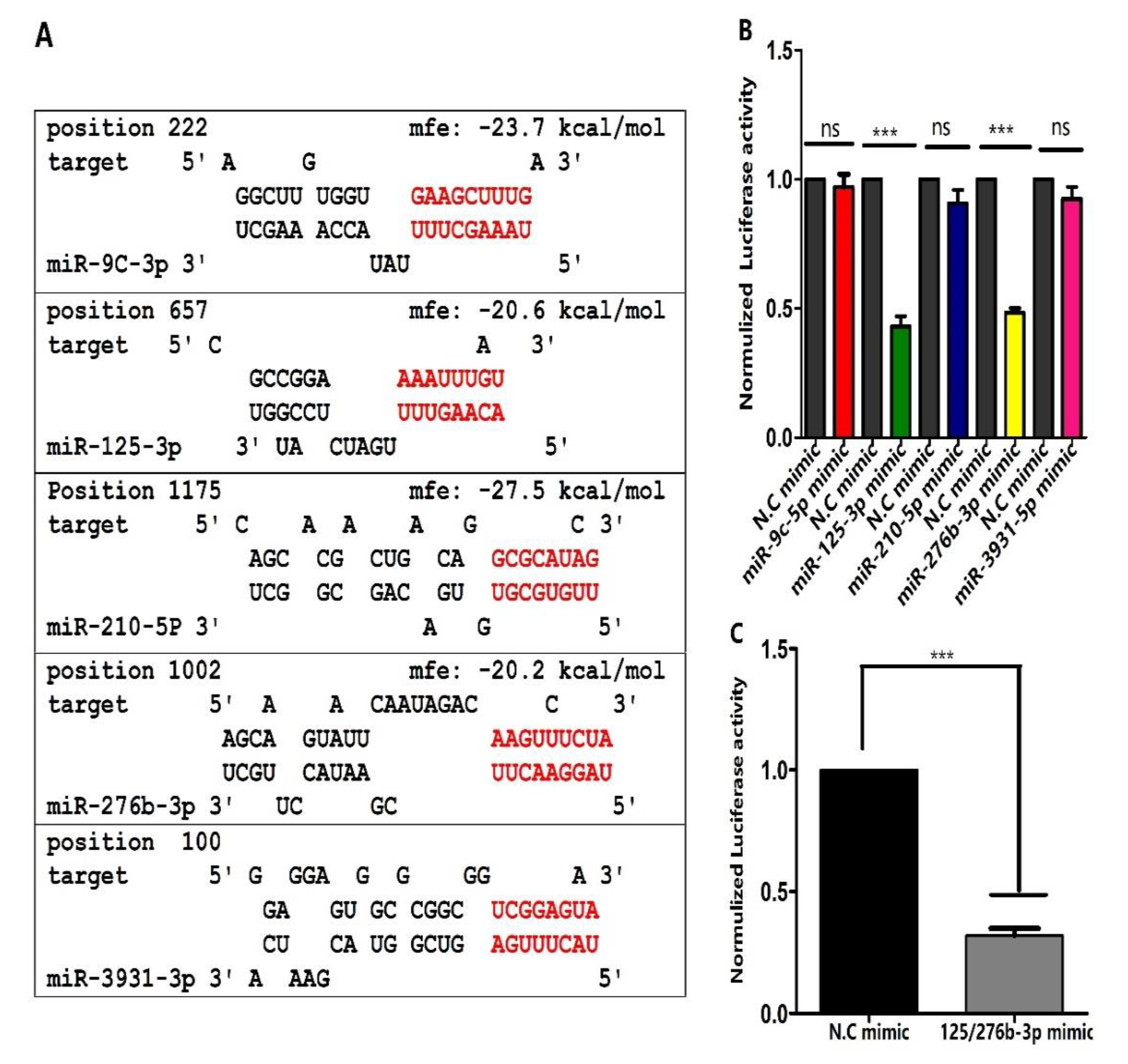 Genes 13 01861 g001