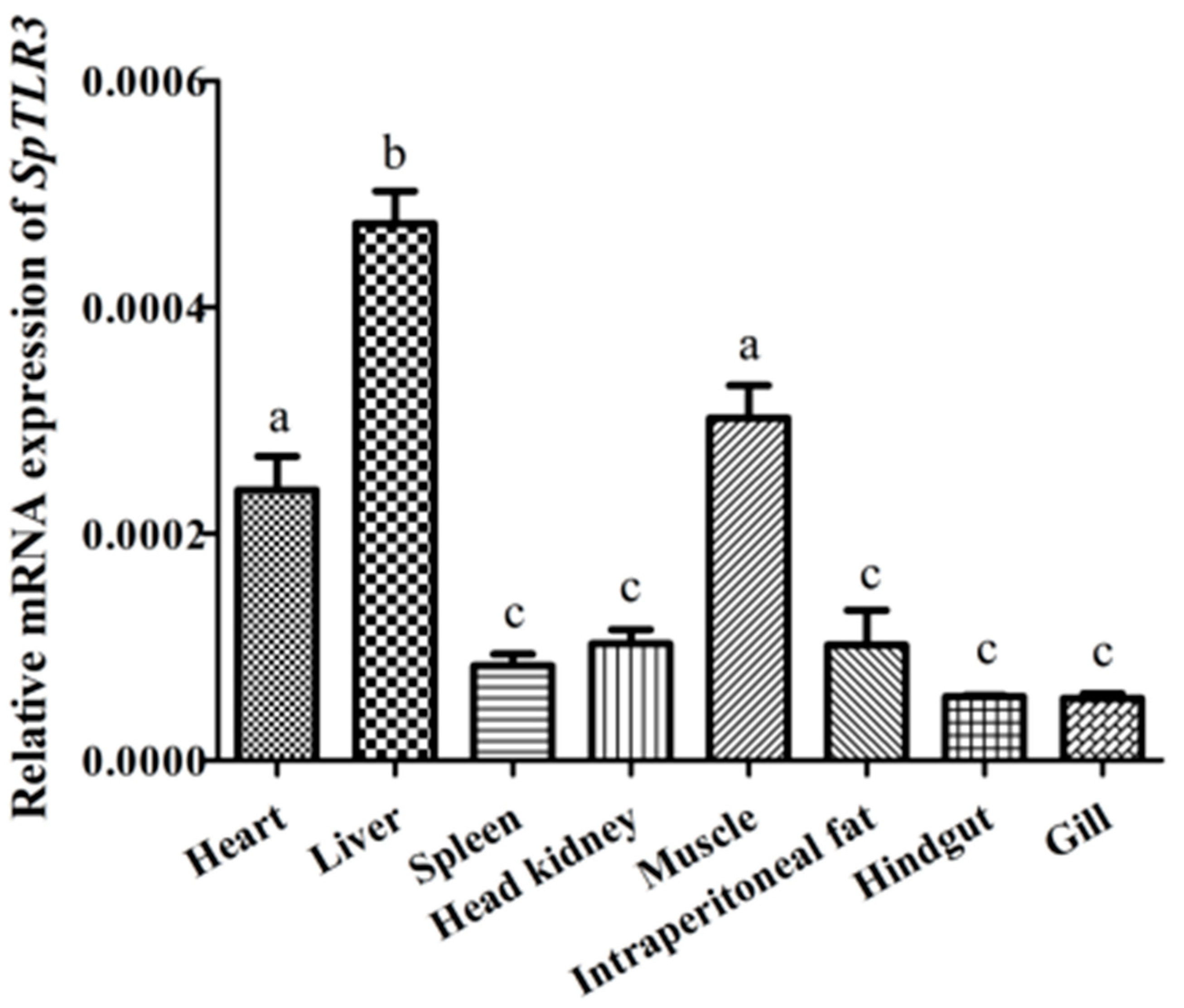 Genes 13 01862 g005 Genes 13 01862 g005