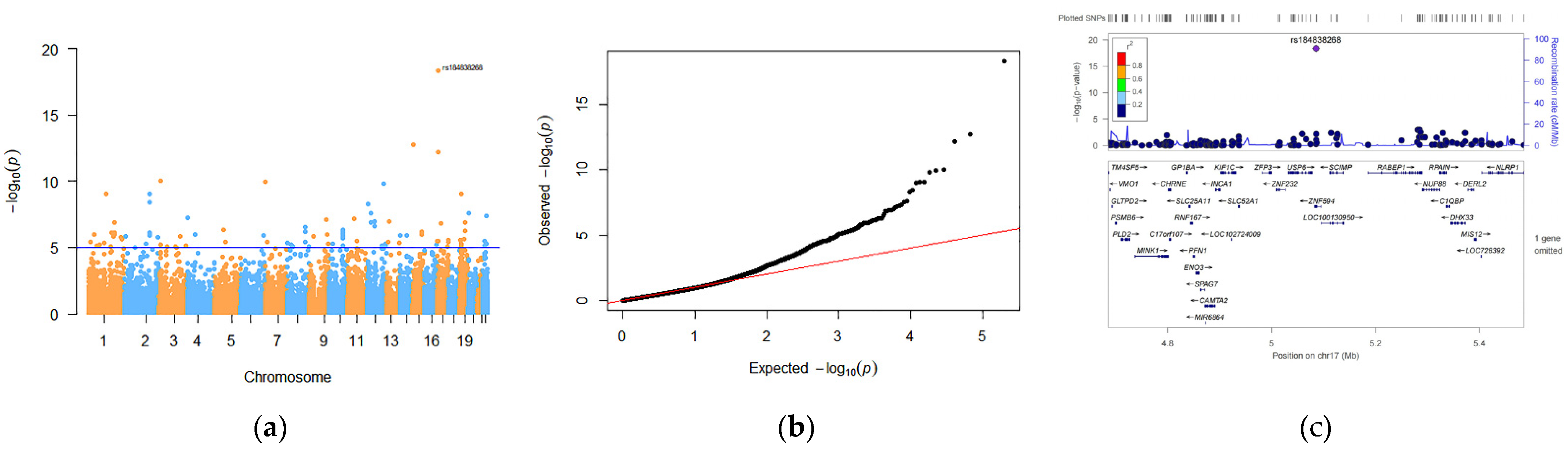 Genes 13 01867 g001 Genes 13 01867 g001