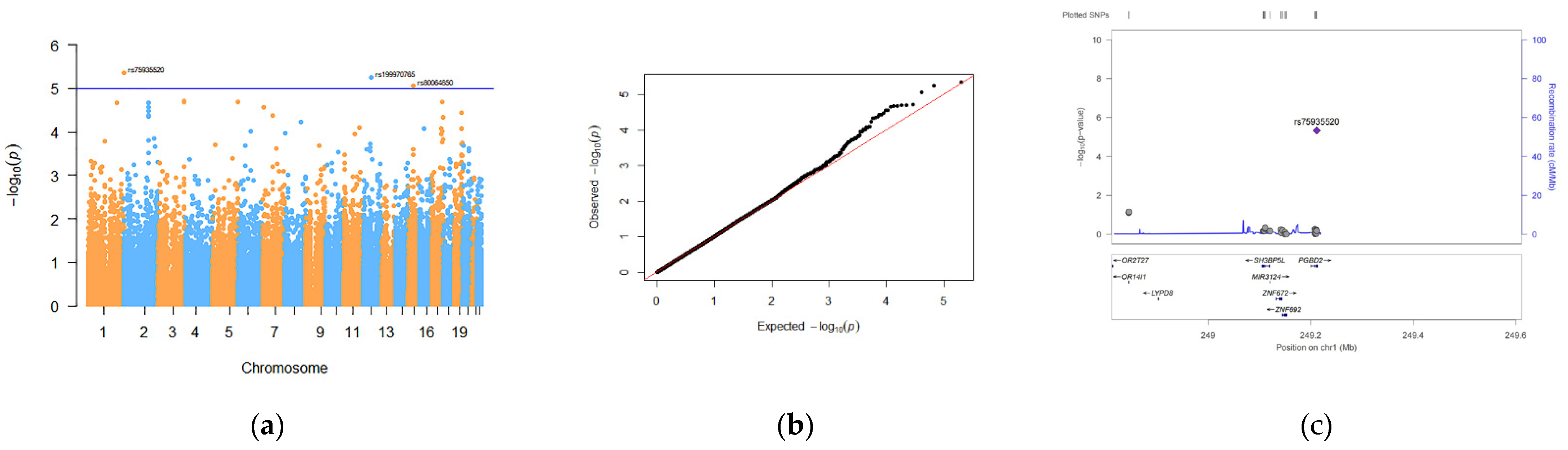 Genes 13 01867 g002 Genes 13 01867 g002