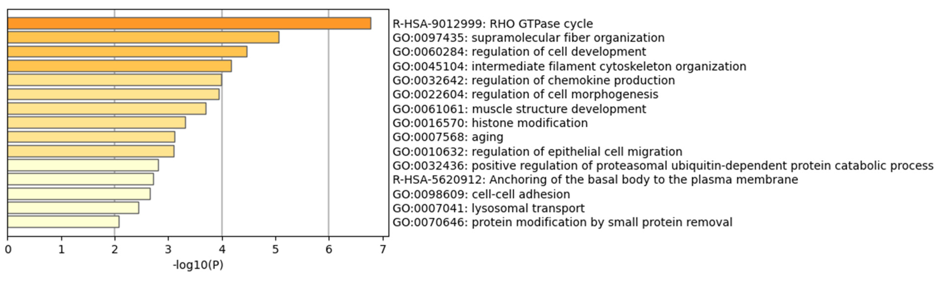 Genes 13 01867 g003 Genes 13 01867 g003