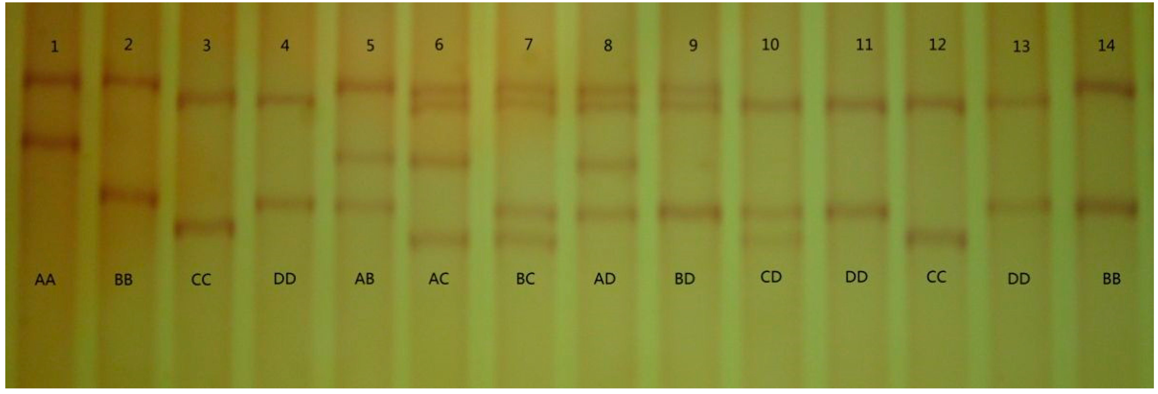 Genes 13 01871 g001 Genes 13 01871 g001