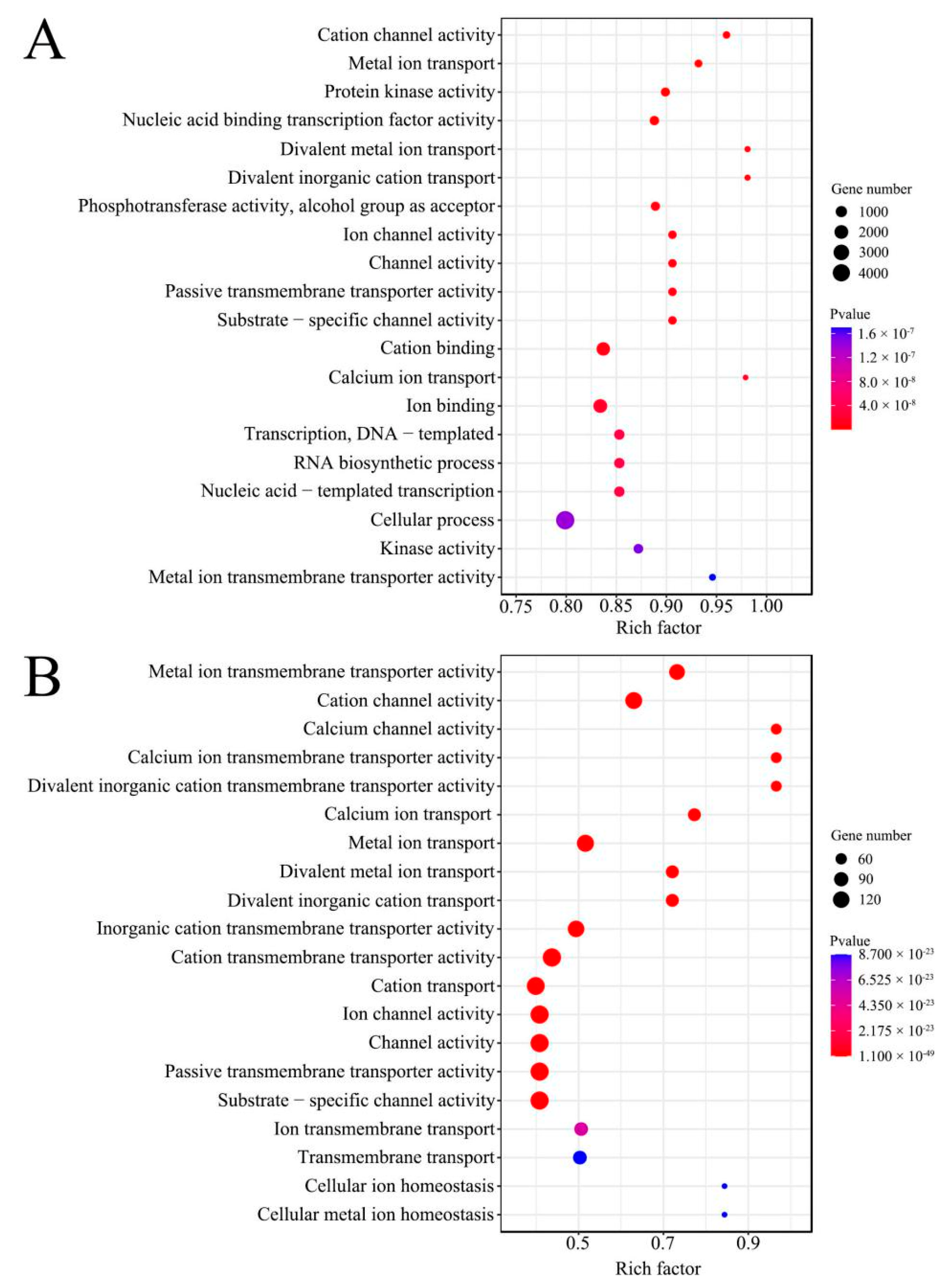 Genes 13 01879 g003