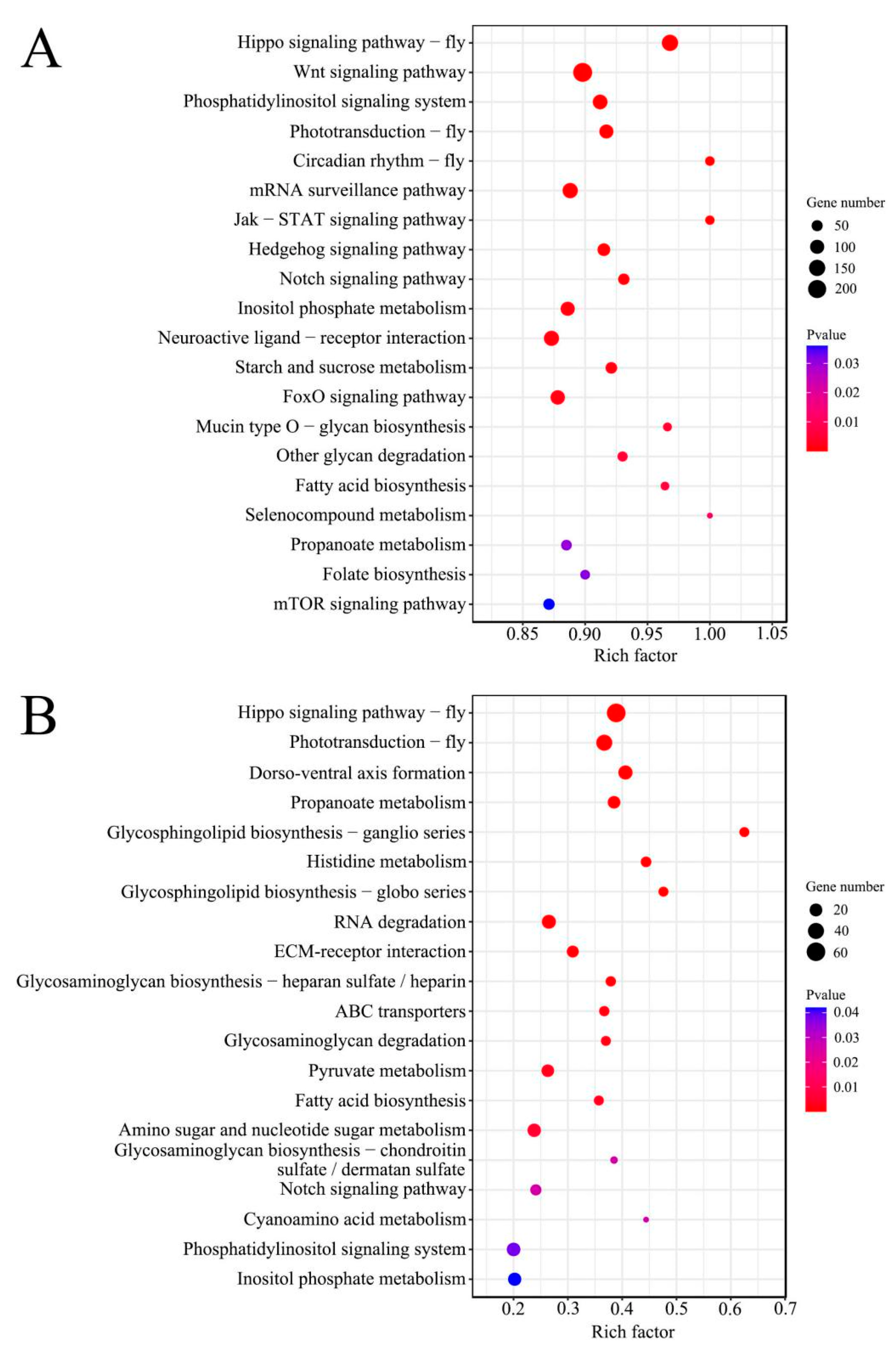 Genes 13 01879 g004