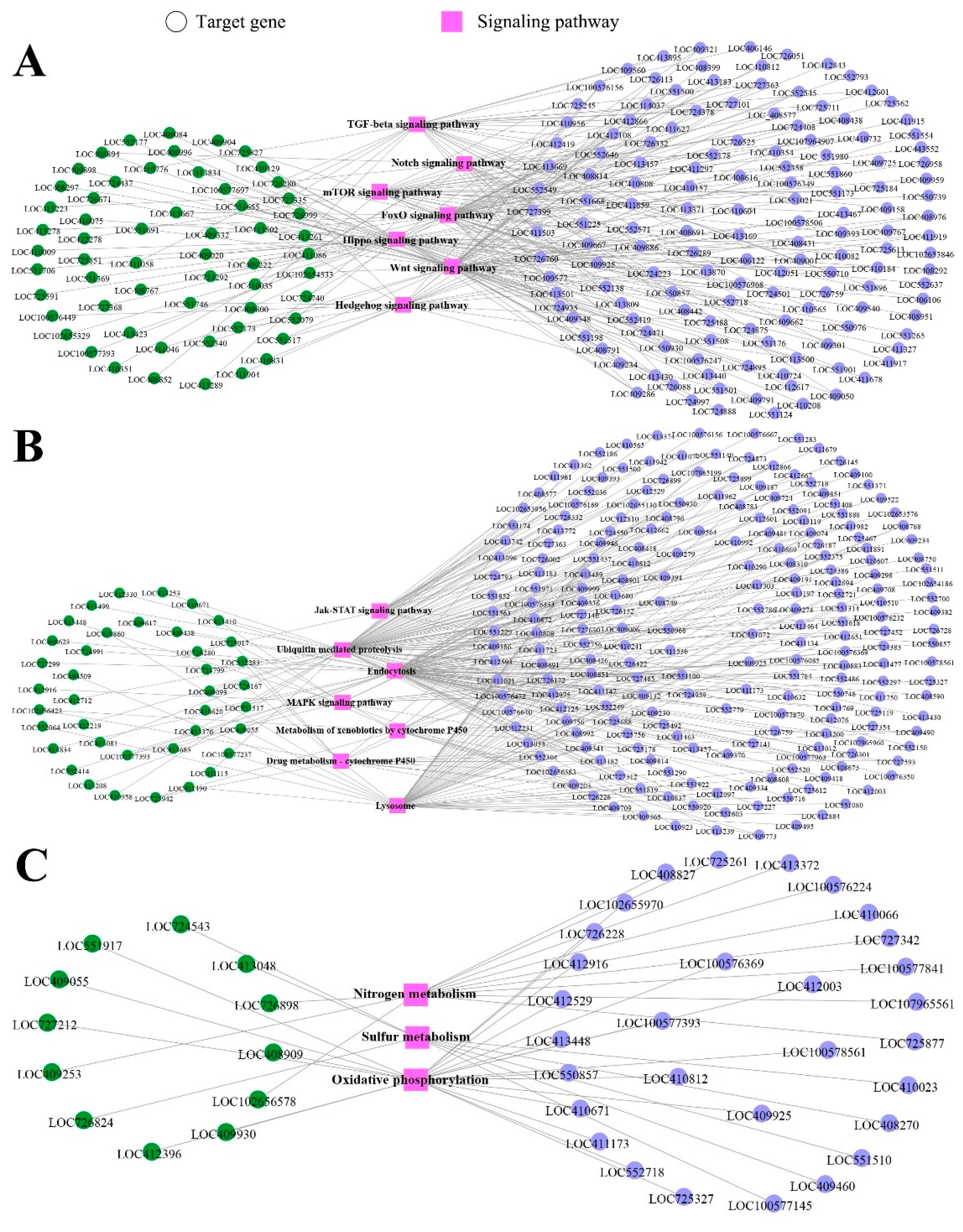 Genes 13 01879 g005