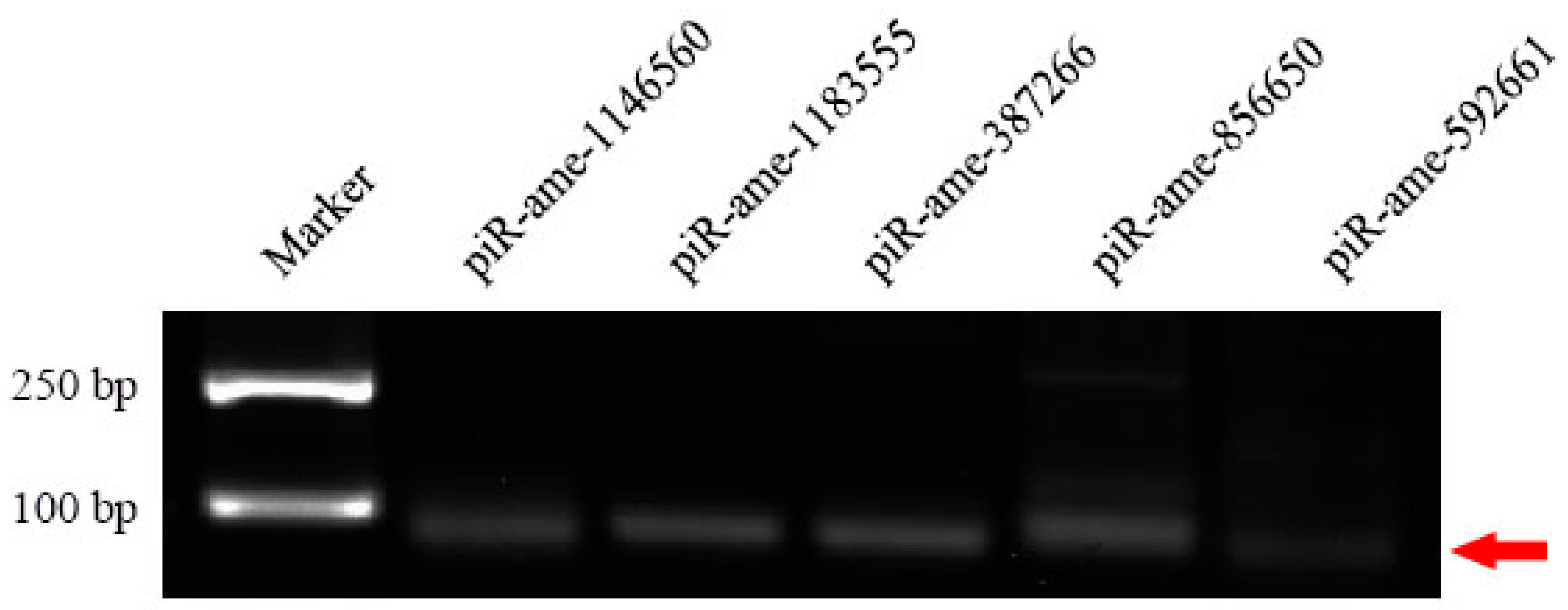 Genes 13 01879 g006