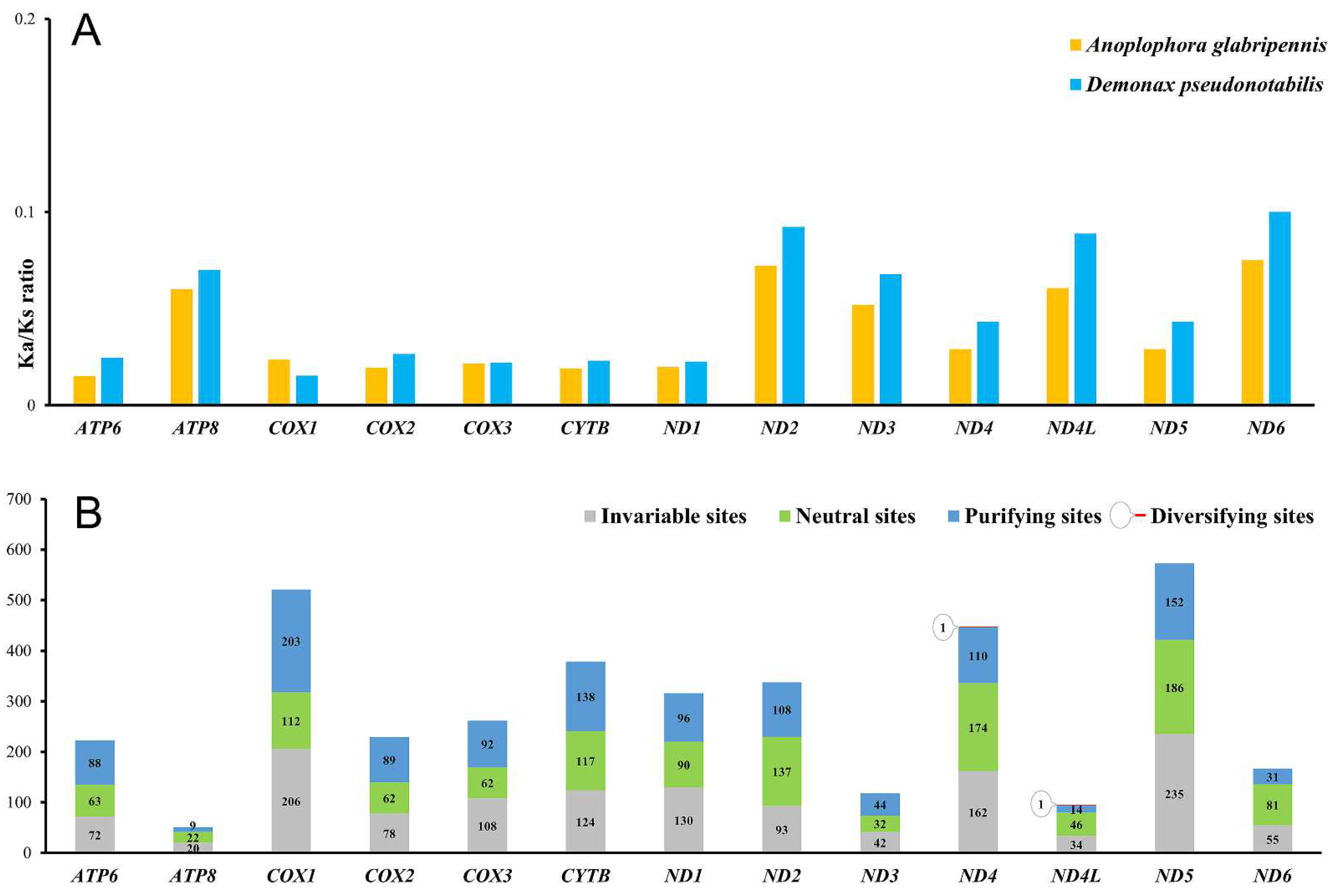 Genes 13 01881 g003