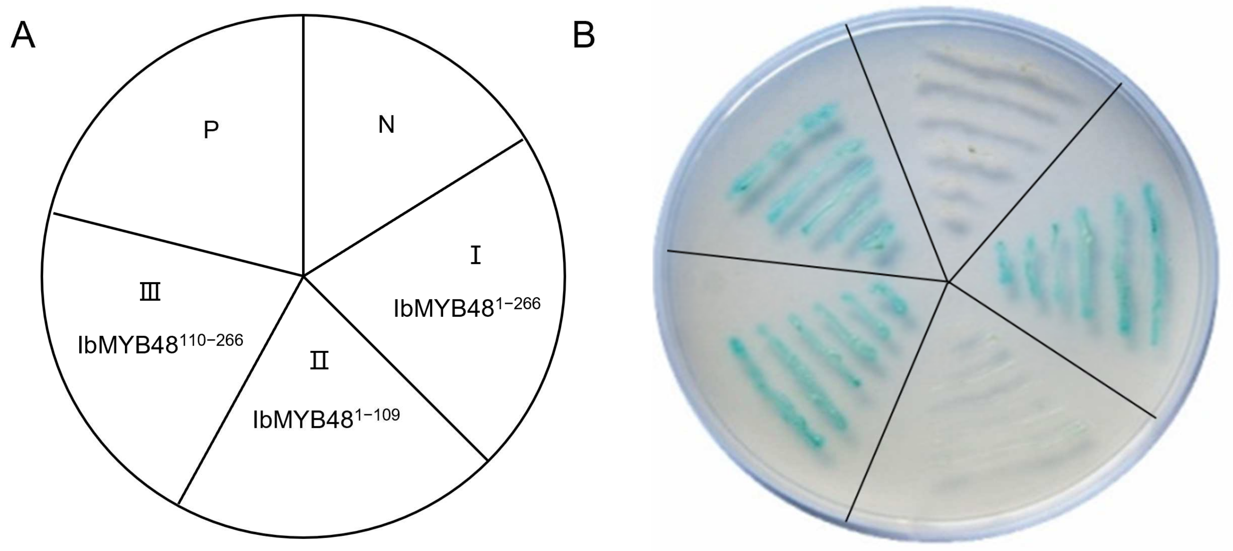 Genes 13 01883 g004