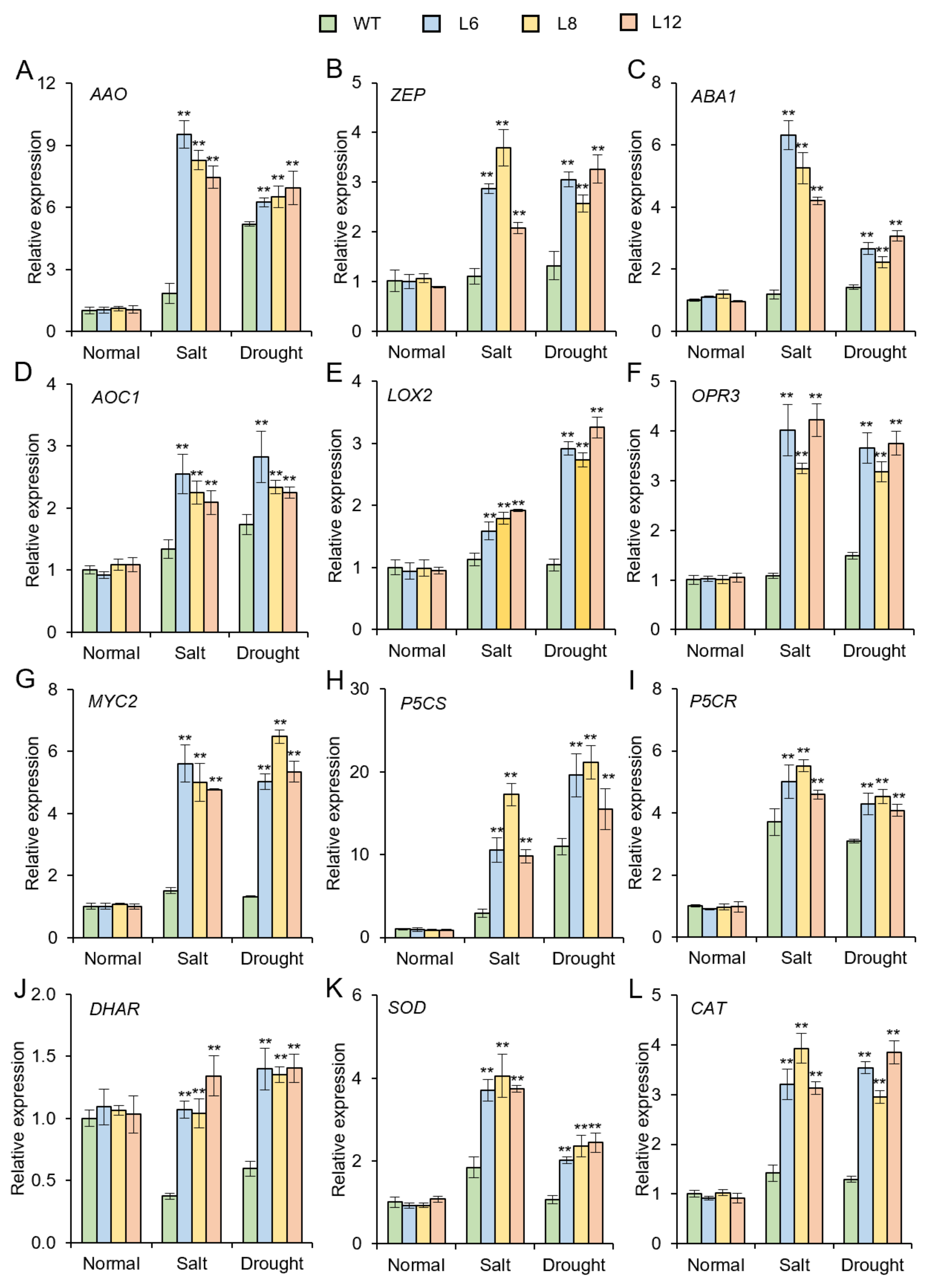 Genes 13 01883 g008