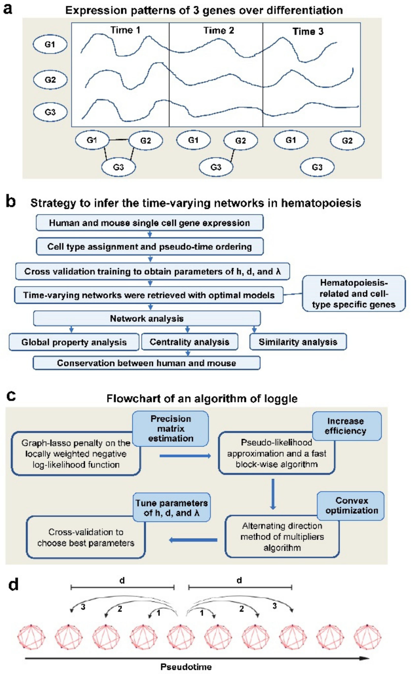 Genes 13 01890 g001 Genes 13 01890 g001