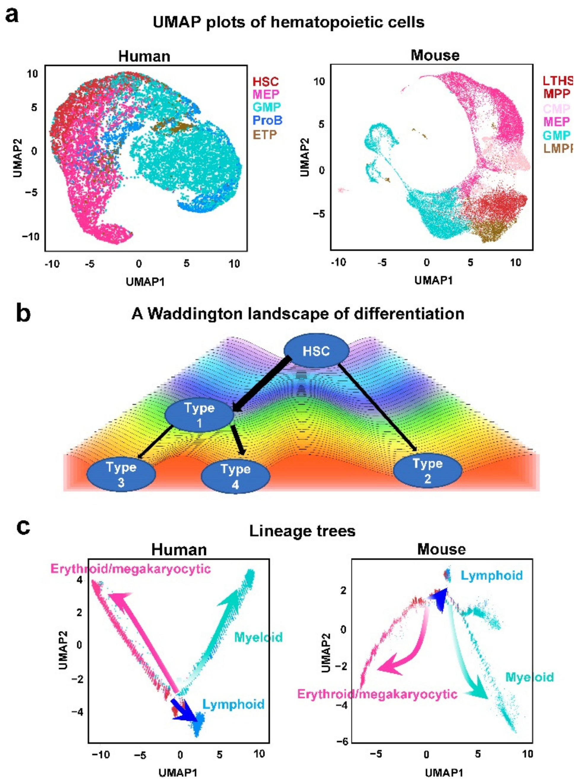 Genes 13 01890 g002 Genes 13 01890 g002