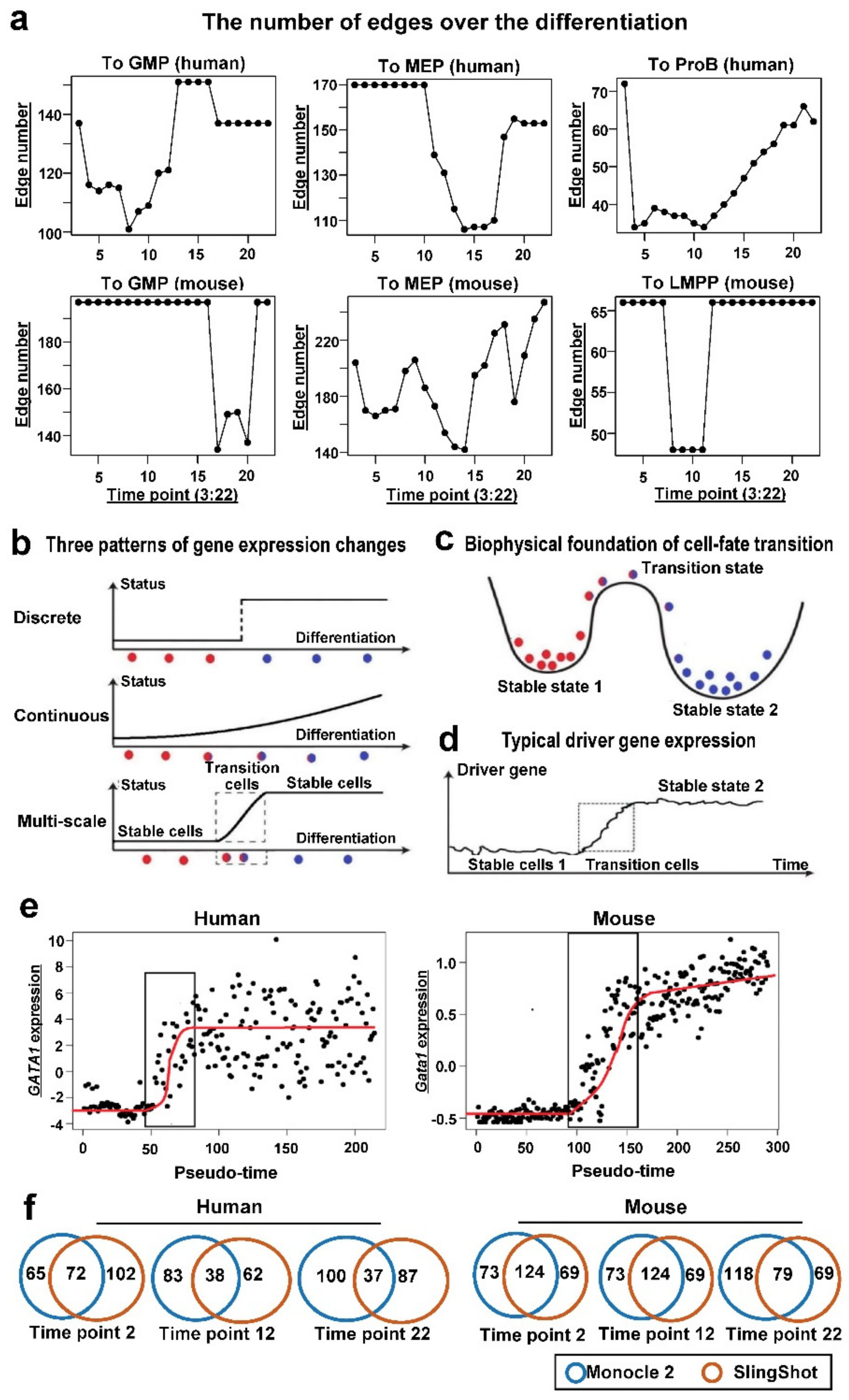 Genes 13 01890 g003 Genes 13 01890 g003