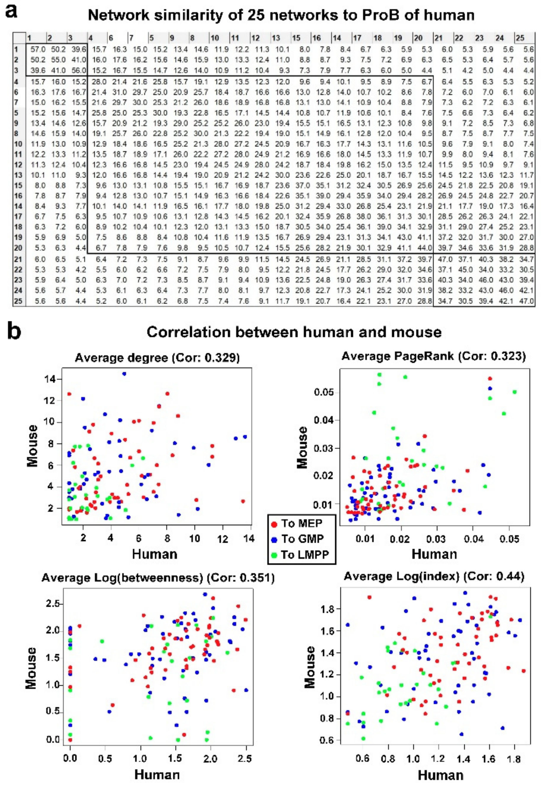 Genes 13 01890 g004 Genes 13 01890 g004