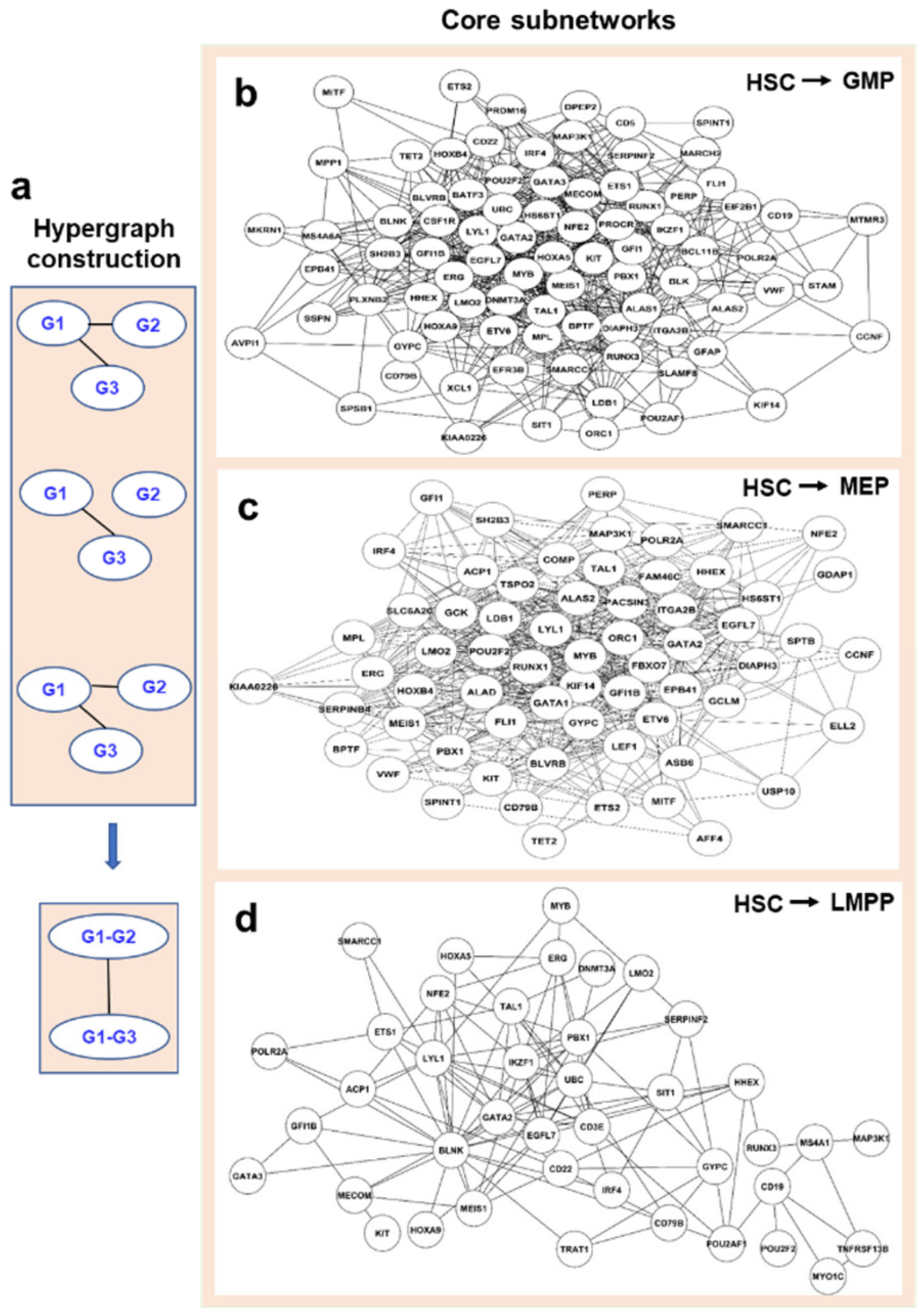 Genes 13 01890 g006 Genes 13 01890 g006