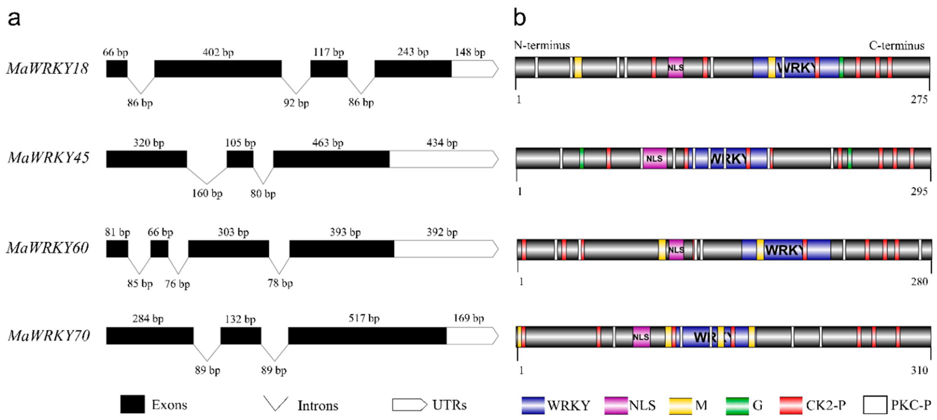 Genes 13 01891 g001 Genes 13 01891 g001