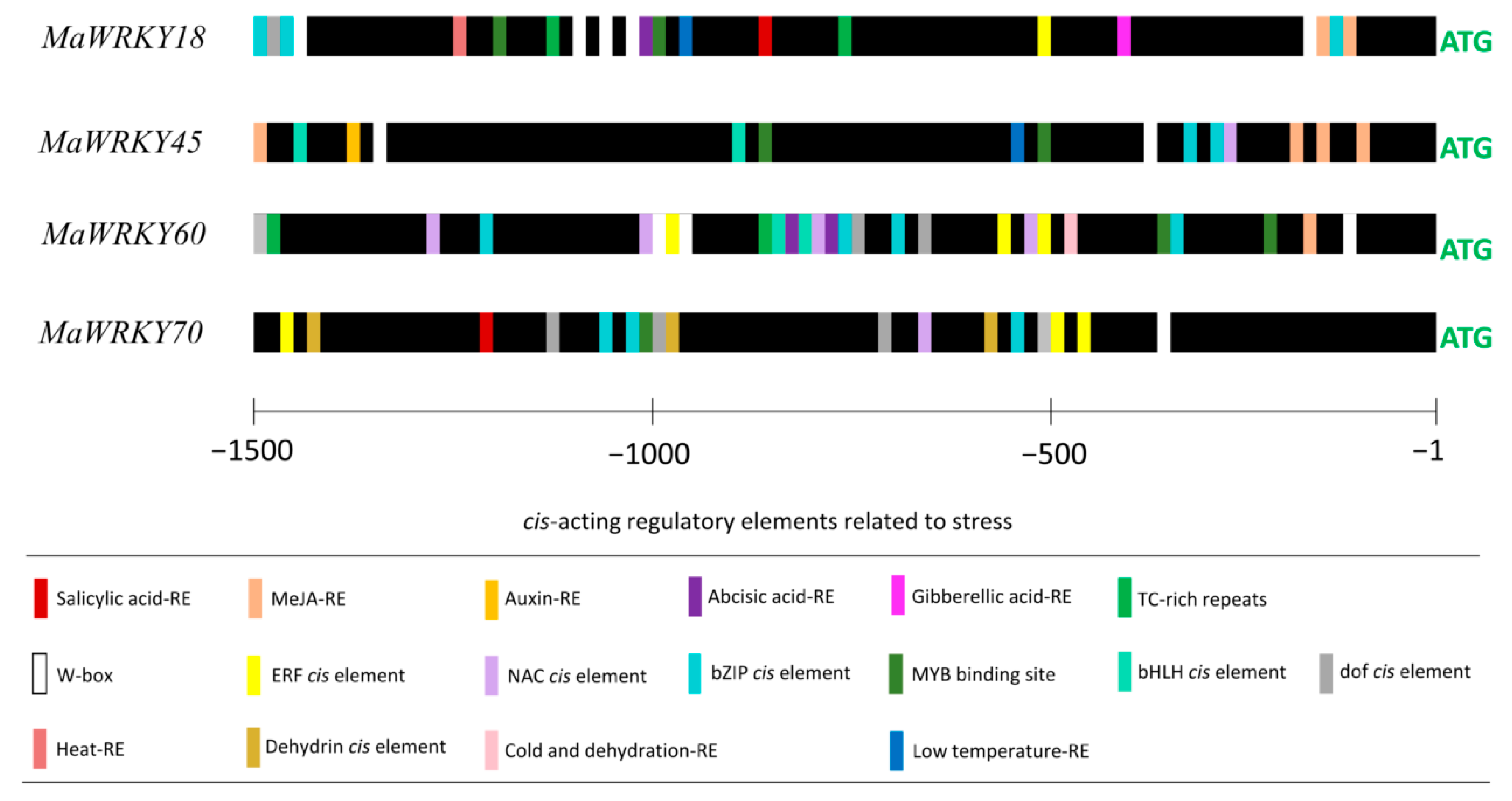 Genes 13 01891 g005 Genes 13 01891 g005