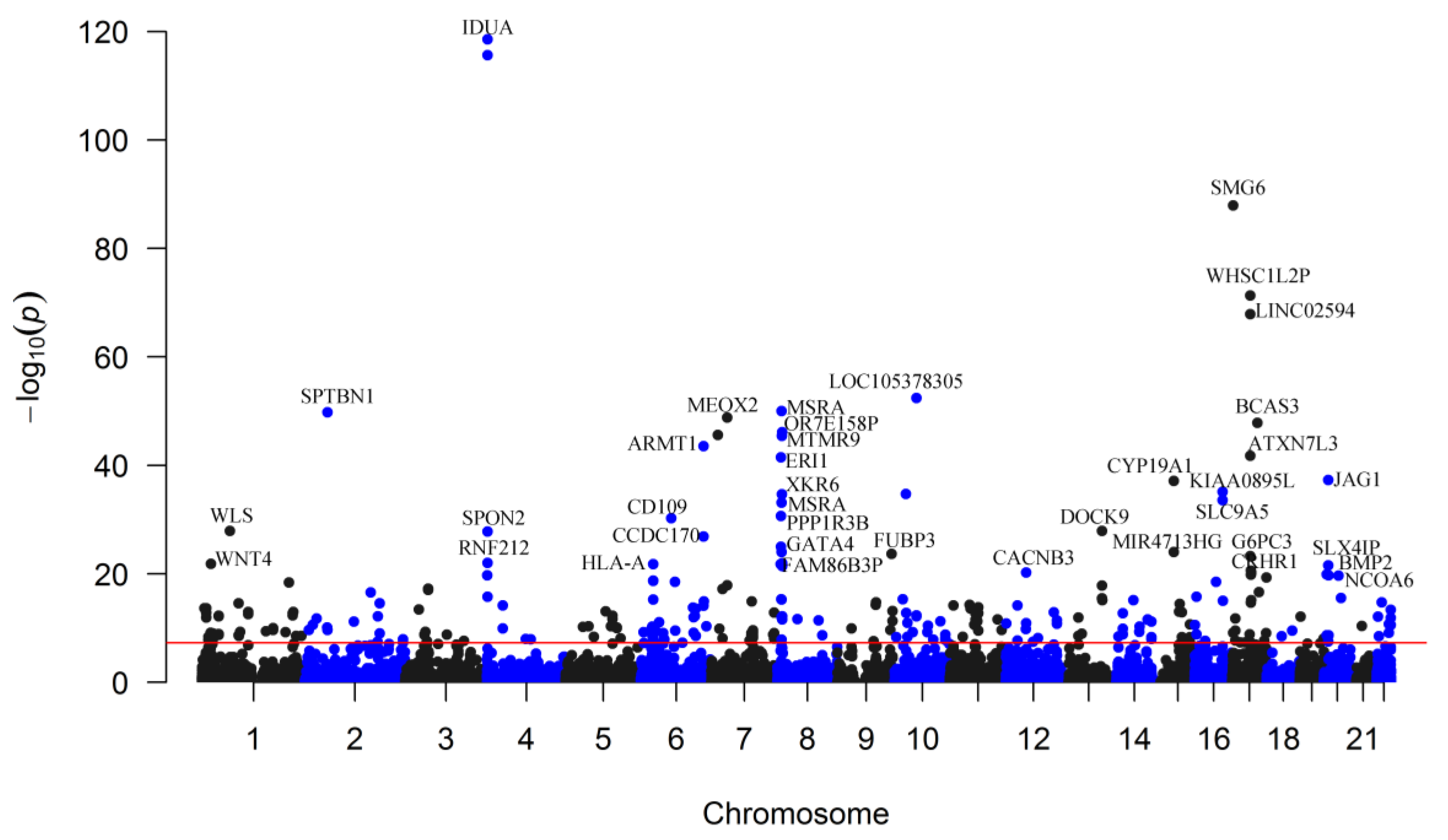 Genes 13 01892 g001 Genes 13 01892 g001