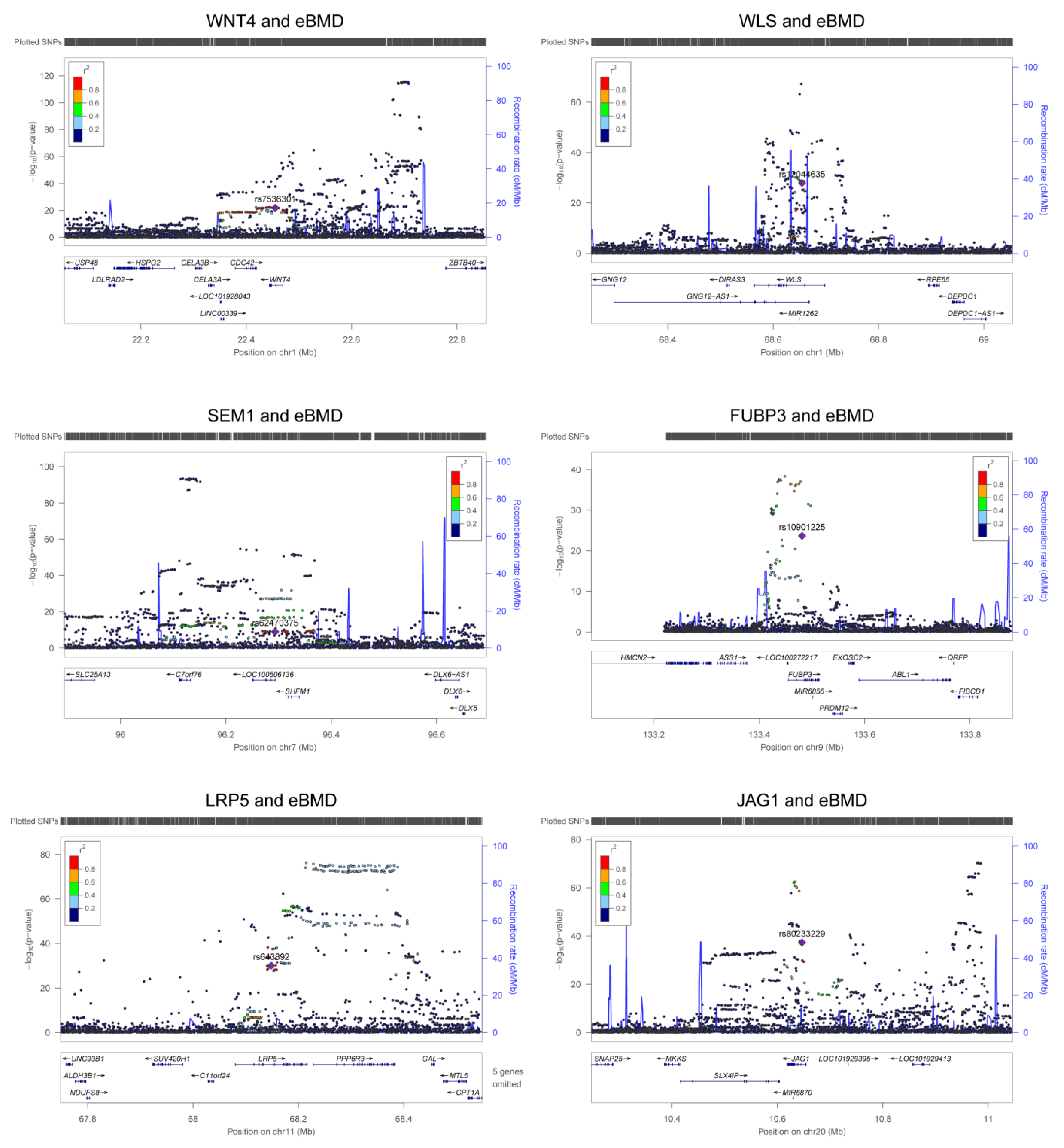 Genes 13 01892 g003 Genes 13 01892 g003
