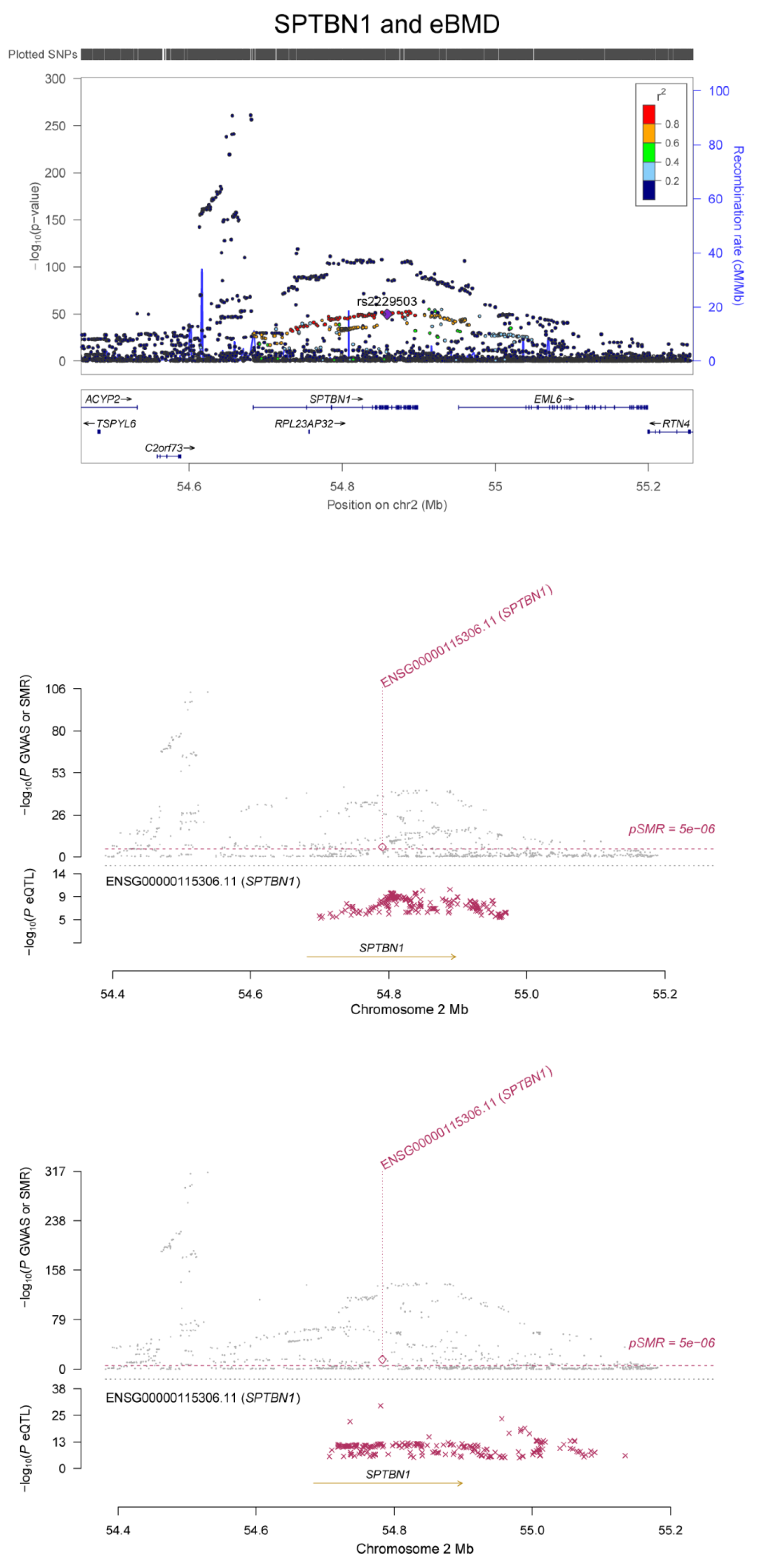 Genes 13 01892 g004 Genes 13 01892 g004