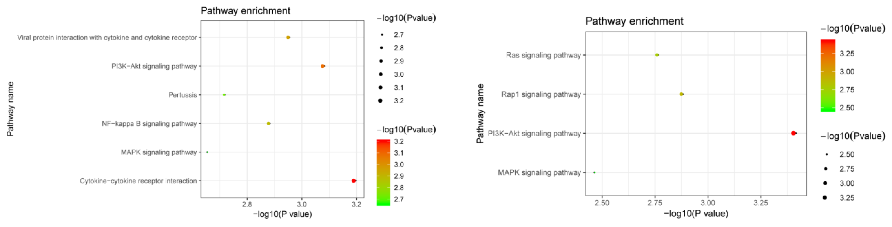 Genes 13 01892 g005 Genes 13 01892 g005