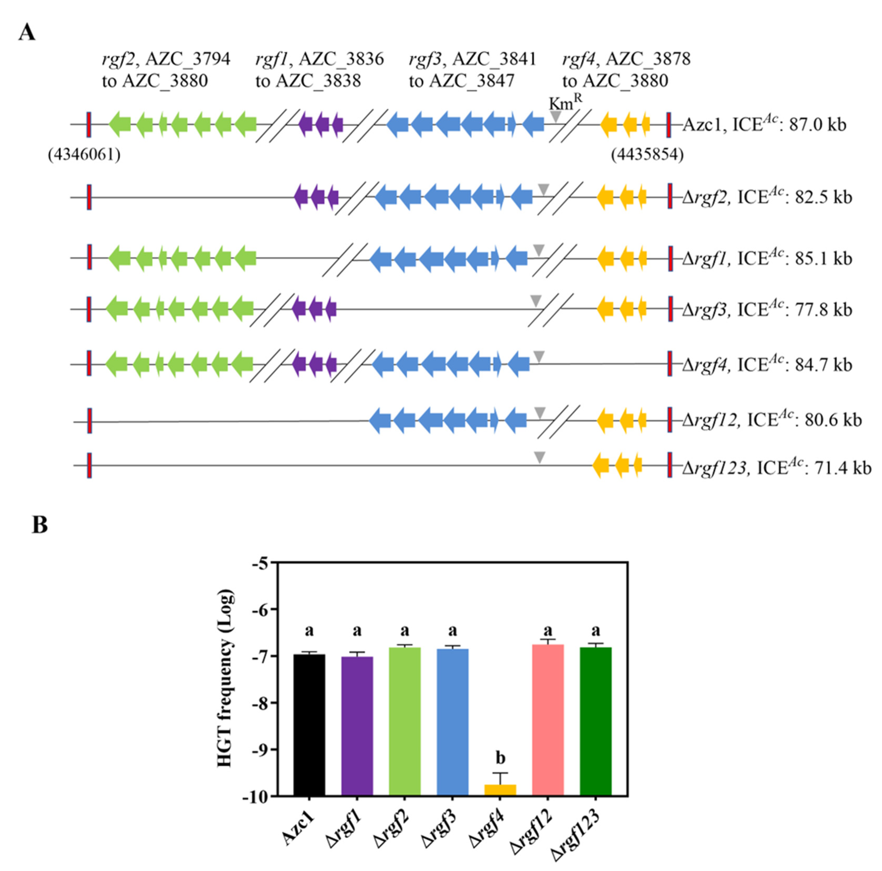 Genes 13 01895 g001 Genes 13 01895 g001