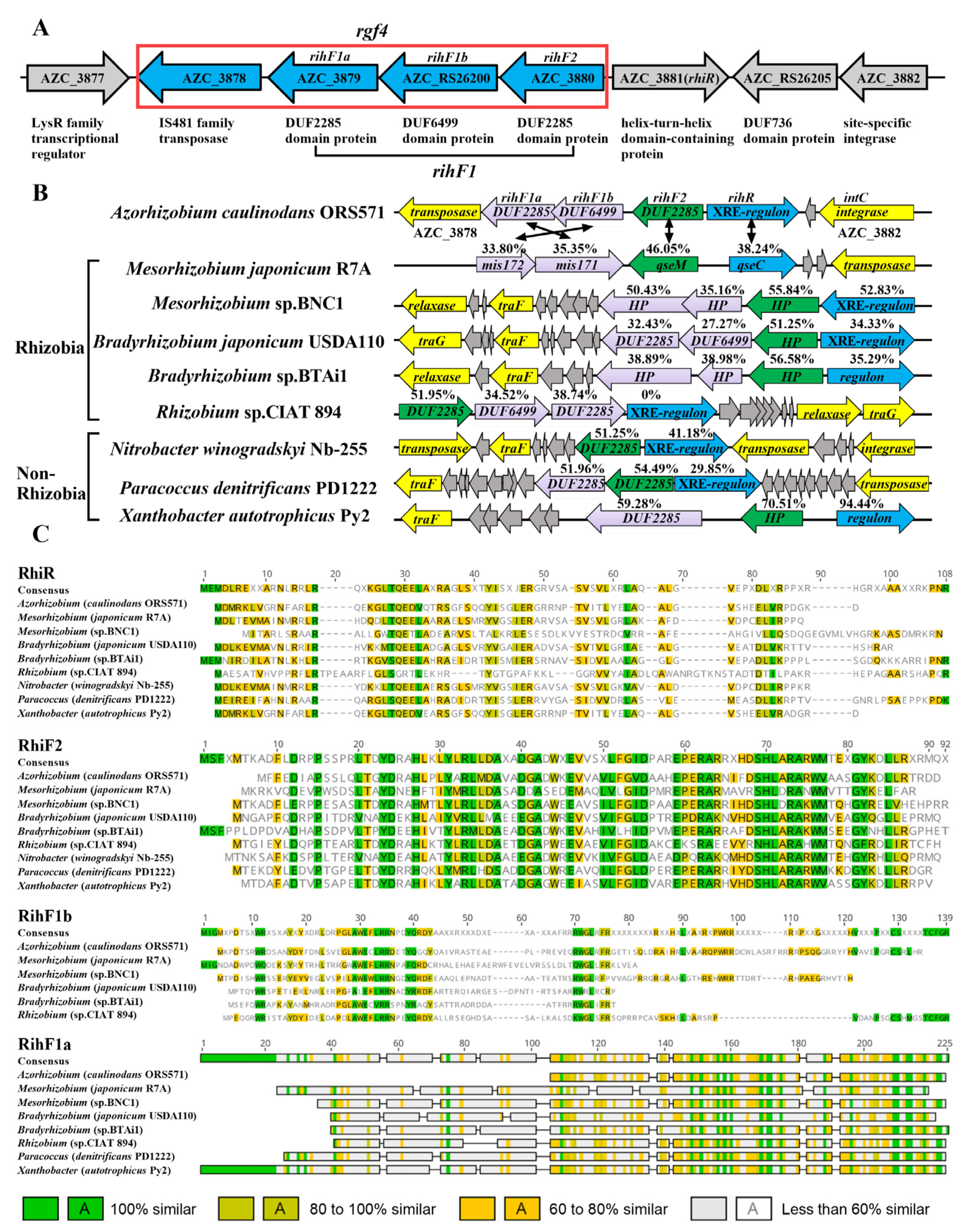 Genes 13 01895 g002 Genes 13 01895 g002