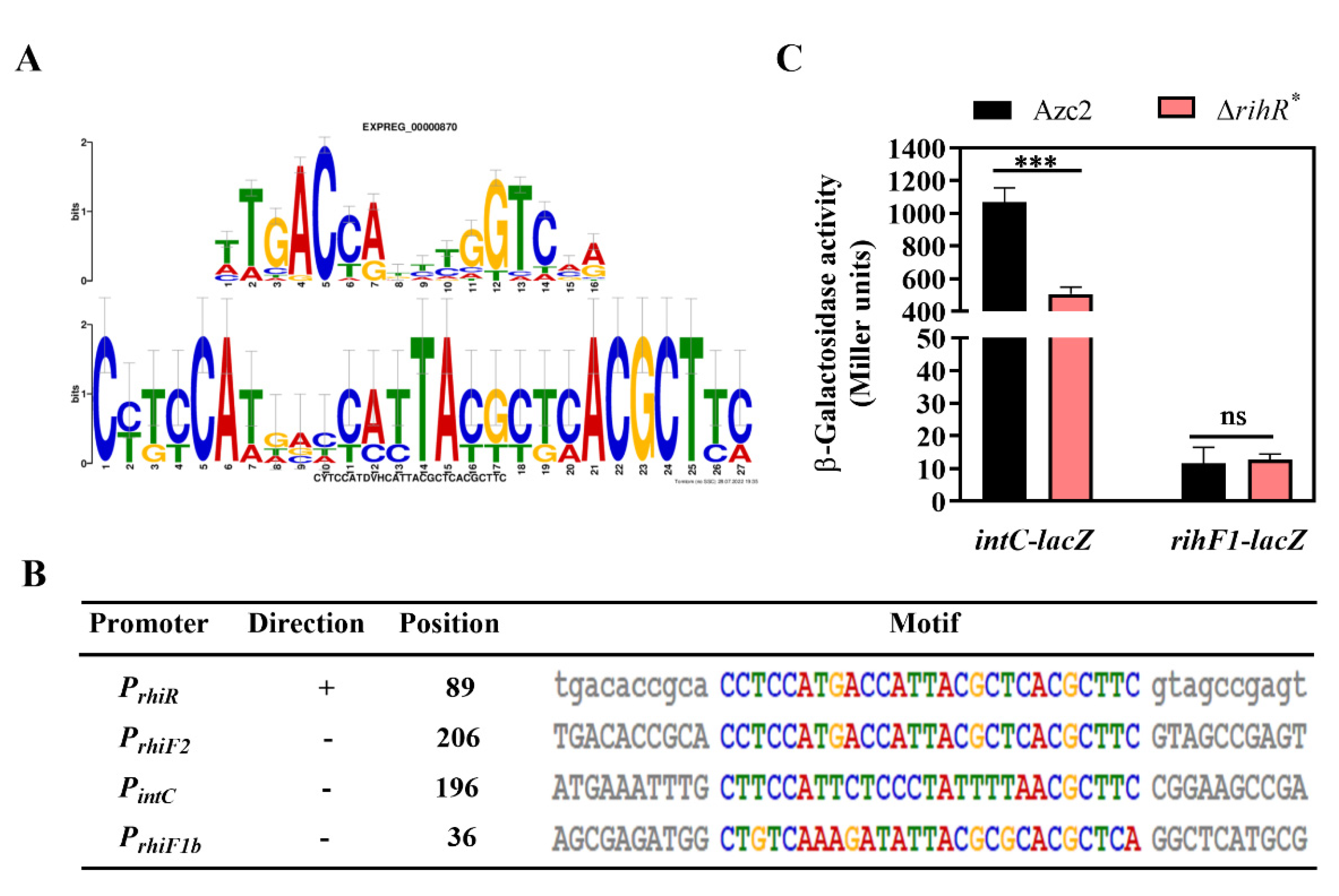 Genes 13 01895 g004 Genes 13 01895 g004