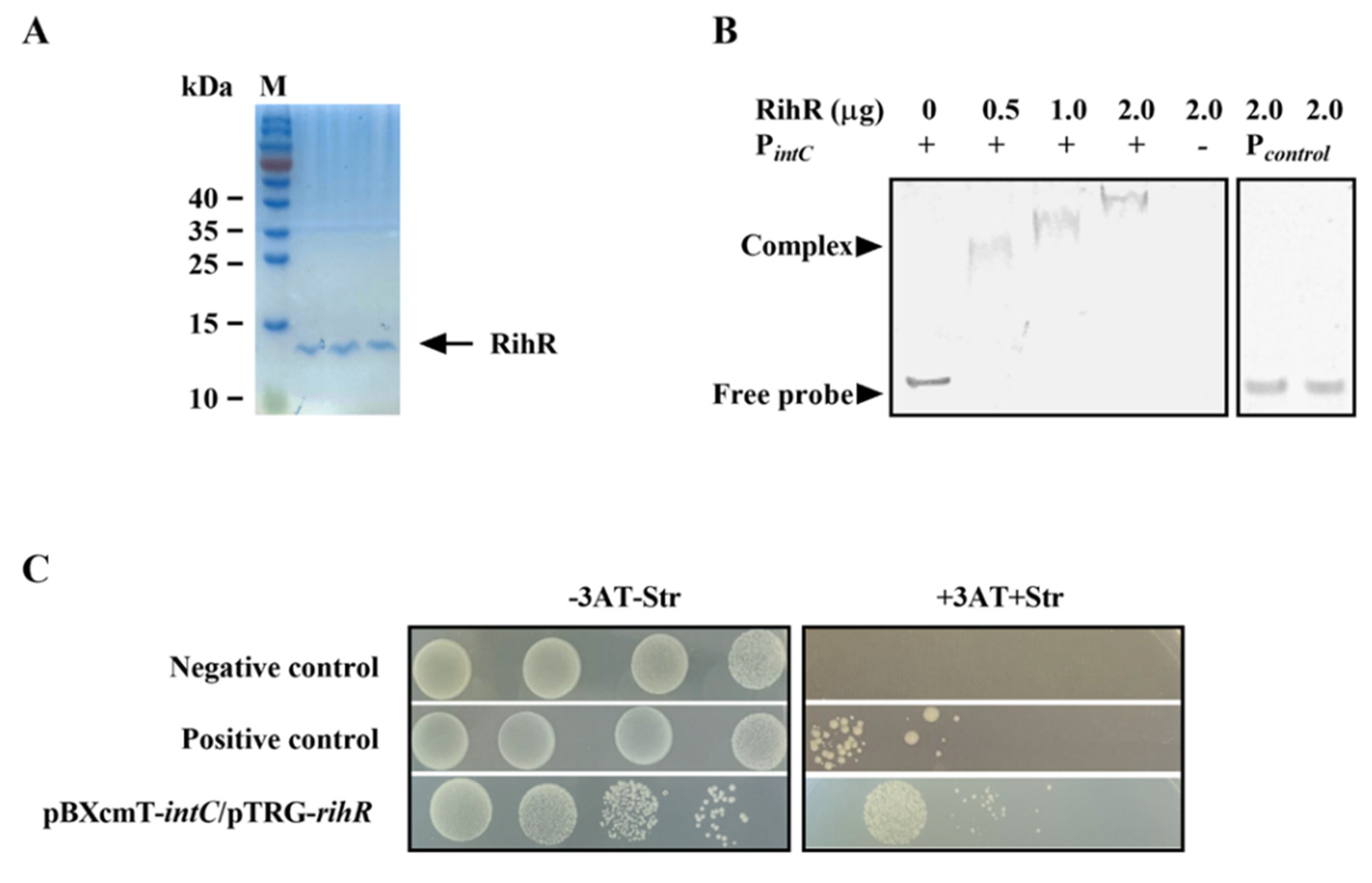 Genes 13 01895 g005 Genes 13 01895 g005